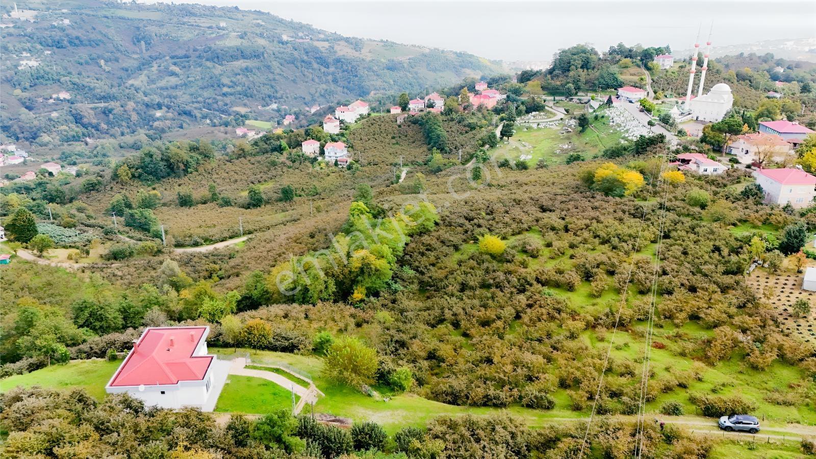Ordu Perşembe Beylide Deniz Manzaralı 1.500 M² Satılık Arazi — fotoğraf 18