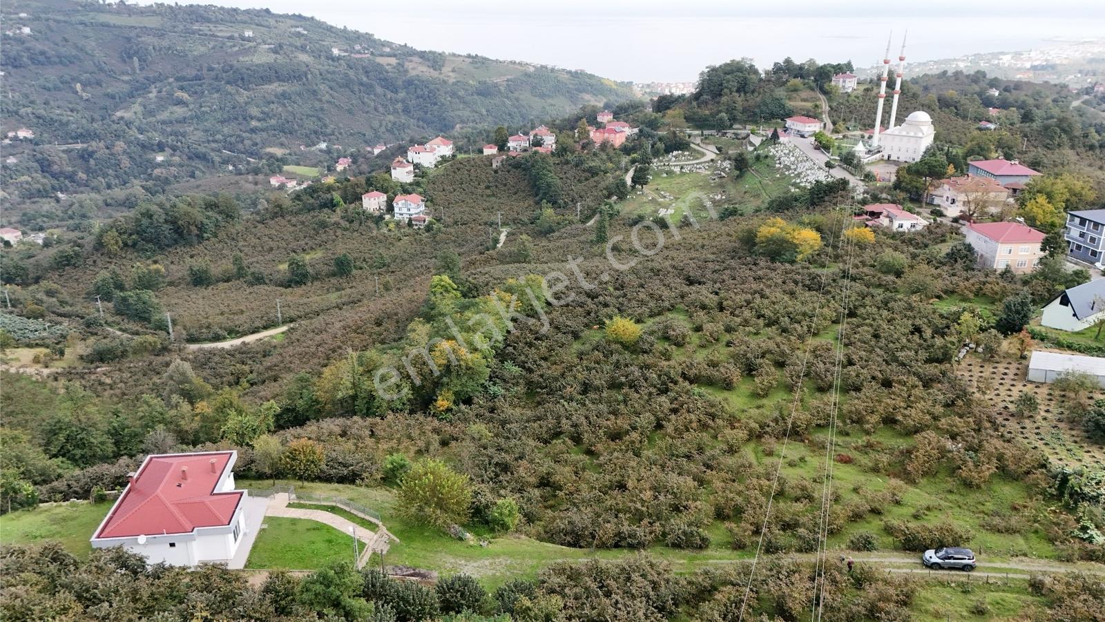 Ordu Perşembe Beylide Deniz Manzaralı 1.500 M² Satılık Arazi — fotoğraf 19