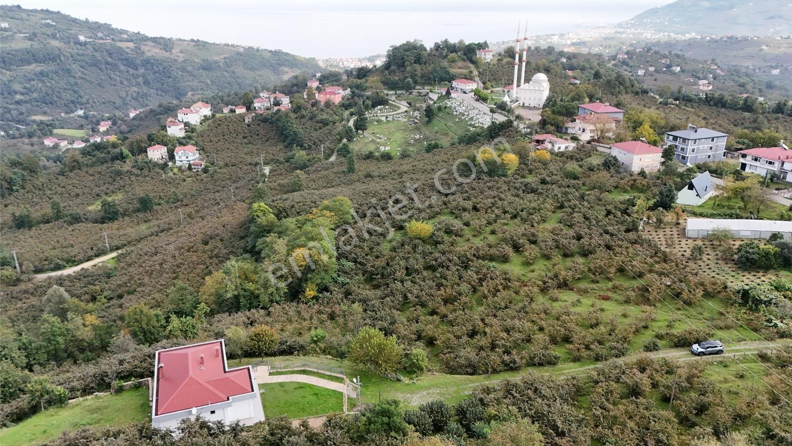Ordu Perşembe Beylide Deniz Manzaralı 1.500 M² Satılık Arazi — fotoğraf 20