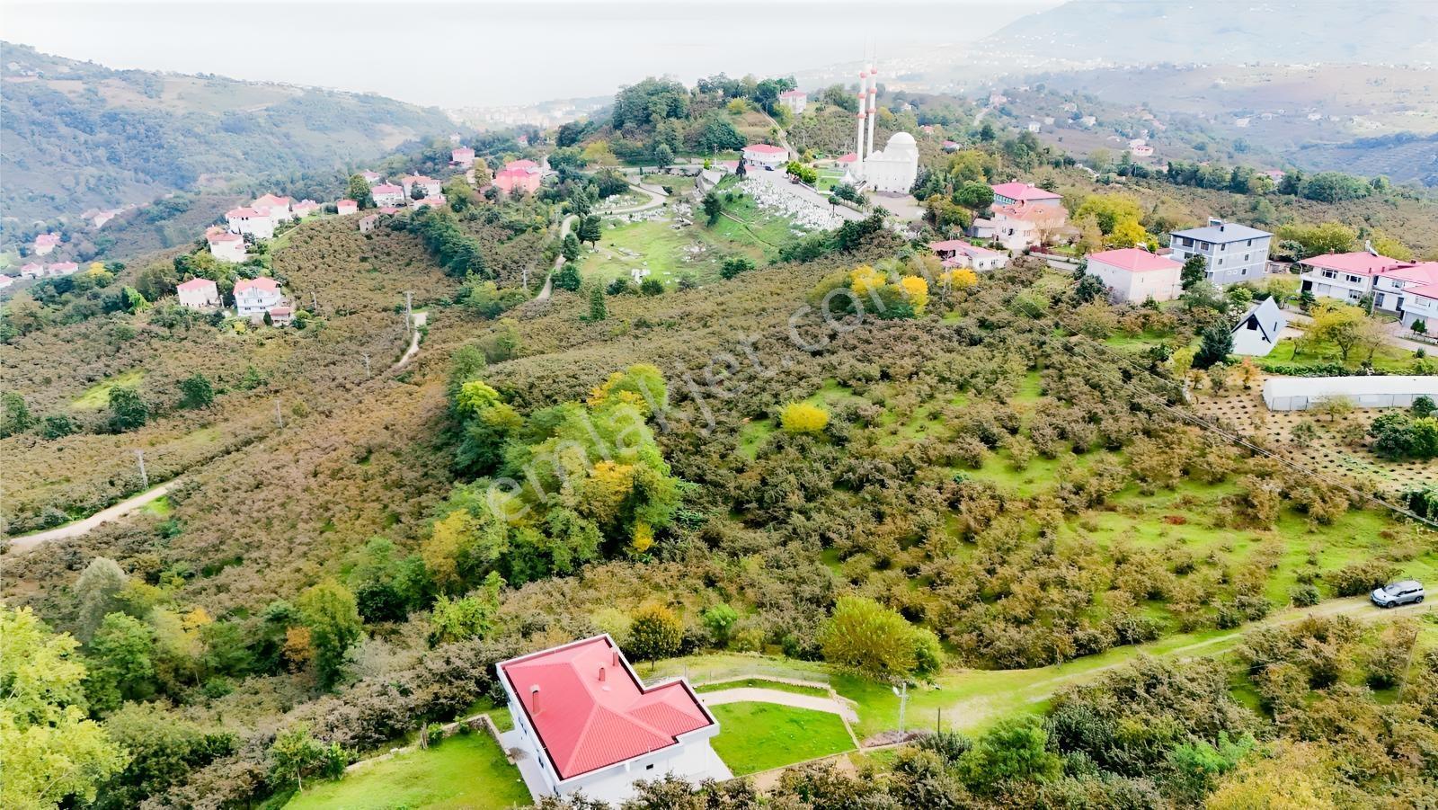 Ordu Perşembe Beylide Deniz Manzaralı 1.500 M² Satılık Arazi — fotoğraf 21
