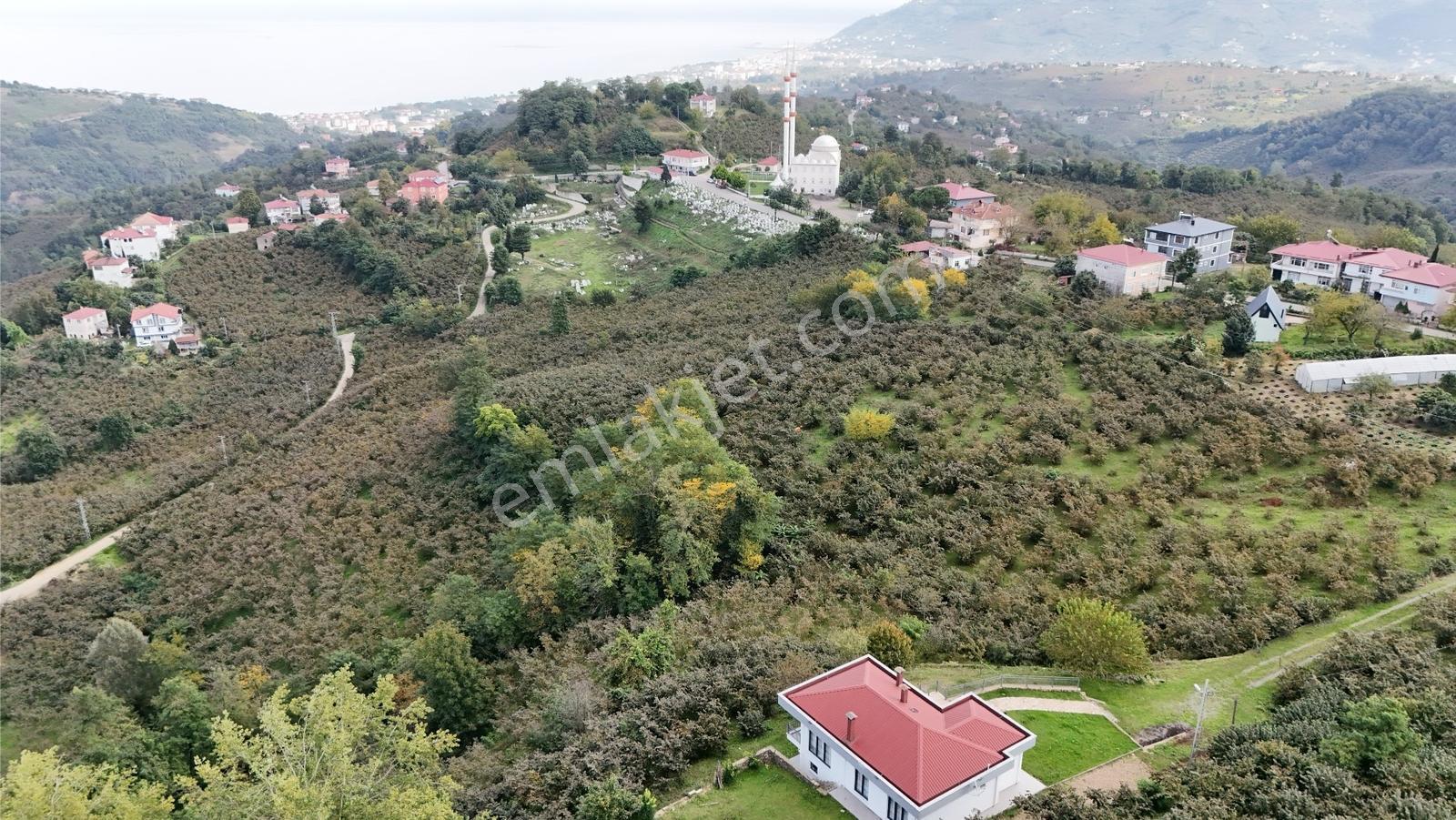 Ordu Perşembe Beylide Deniz Manzaralı 1.500 M² Satılık Arazi — fotoğraf 22
