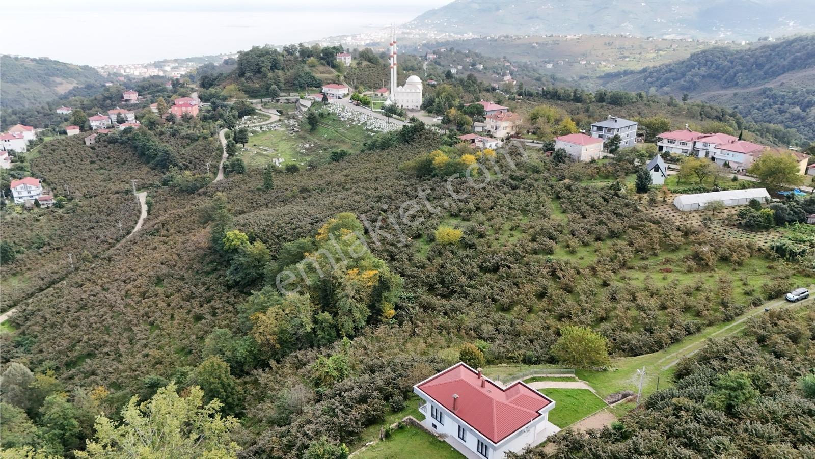 Ordu Perşembe Beylide Deniz Manzaralı 1.500 M² Satılık Arazi — fotoğraf 23