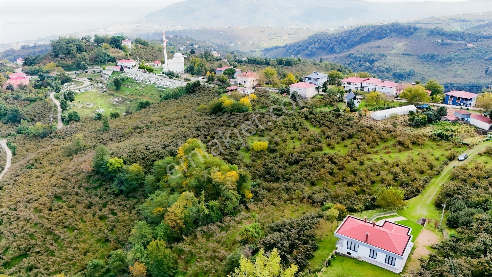 Ordu Perşembe Beylide Deniz Manzaralı 1.500 M² Satılık Arazi — fotoğraf 24