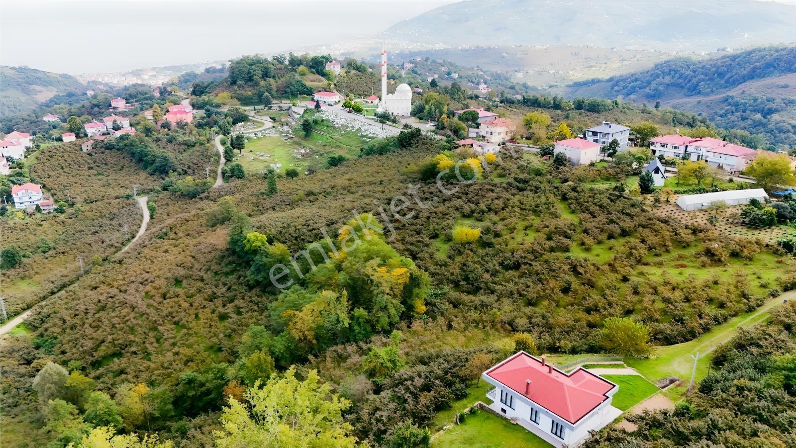 Ordu Perşembe Beylide Deniz Manzaralı 1.500 M² Satılık Arazi — fotoğraf 25