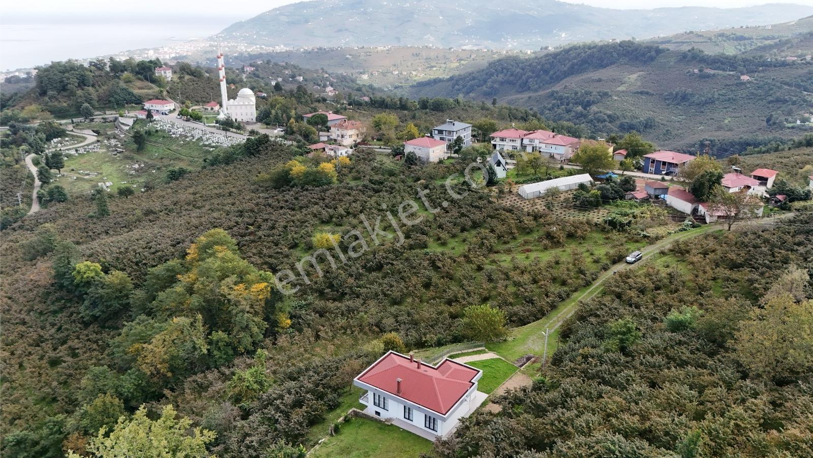 Ordu Perşembe Beylide Deniz Manzaralı 1.500 M² Satılık Arazi — fotoğraf 26