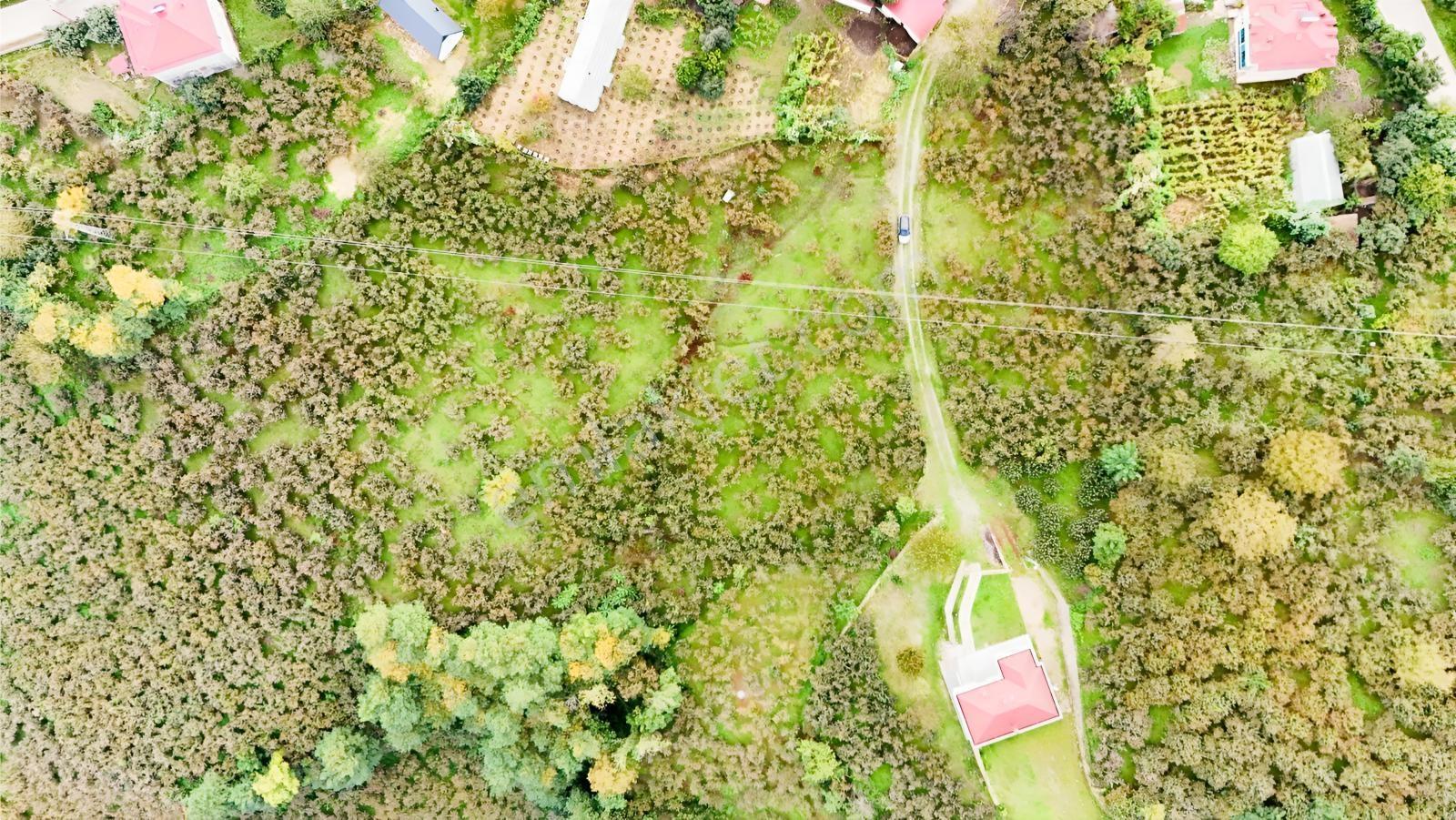 Ordu Perşembe Beylide Deniz Manzaralı 1.500 M² Satılık Arazi — fotoğraf 27