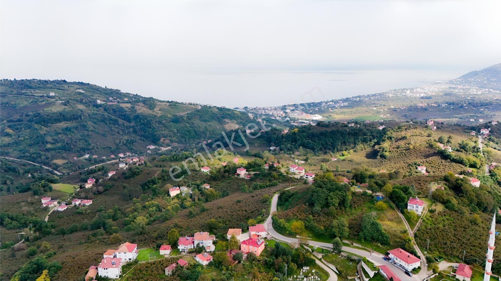Ordu Perşembe Beylide Deniz Manzaralı 1.500 M² Satılık Arazi — fotoğraf 28