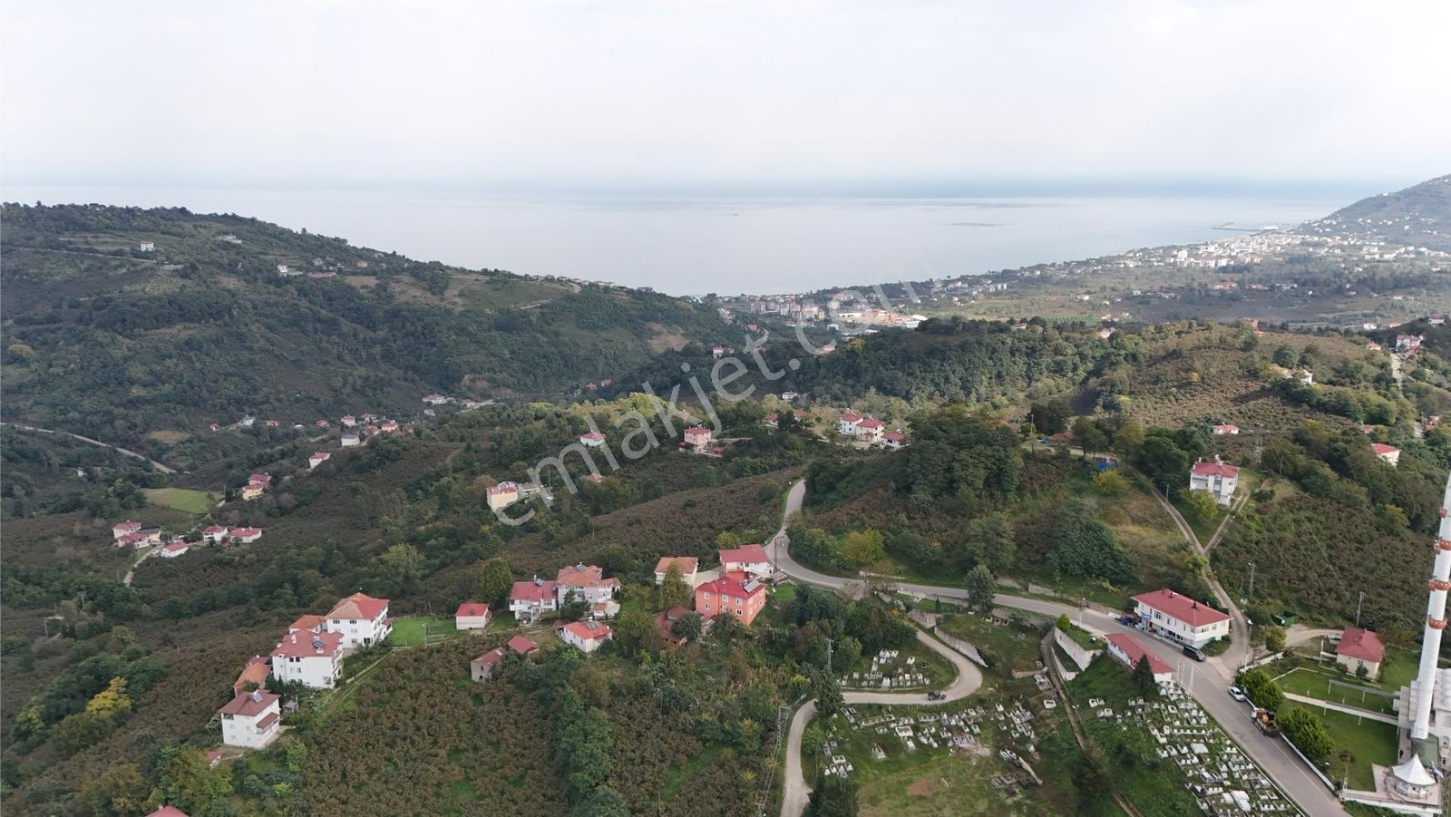 Ordu Perşembe Beylide Deniz Manzaralı 1.500 M² Satılık Arazi — fotoğraf 29