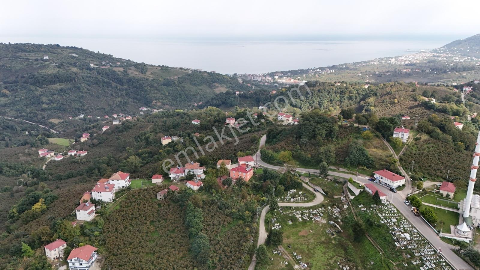 Ordu Perşembe Beylide Deniz Manzaralı 1.500 M² Satılık Arazi — fotoğraf 30