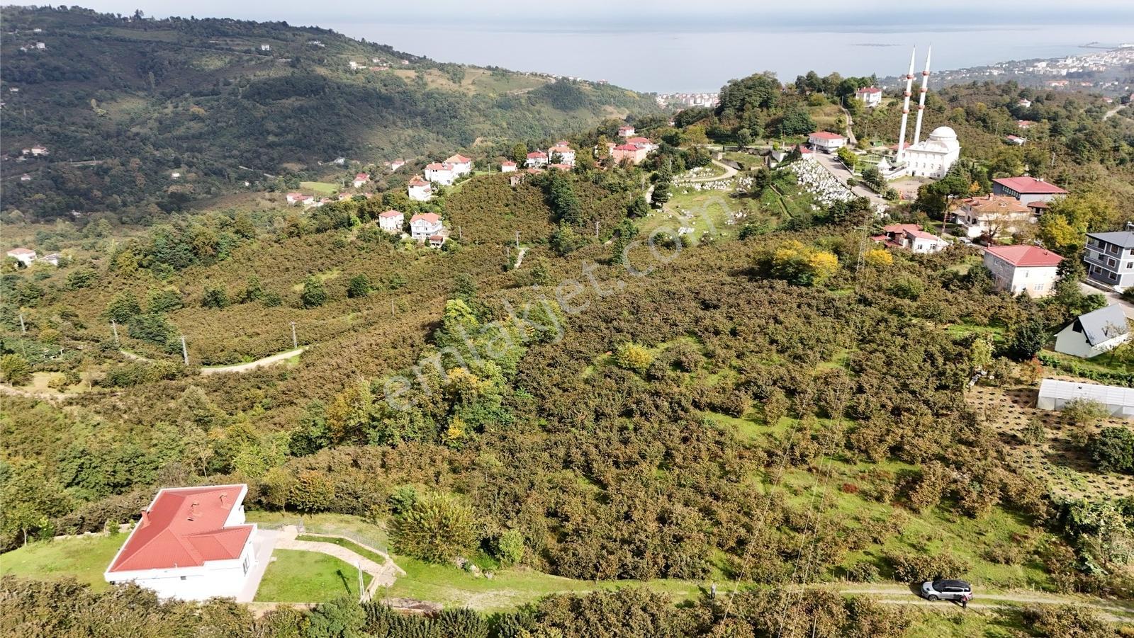Ordu Perşembe Beylide Deniz Manzaralı 1.500 M² Satılık Arazi — fotoğraf 31