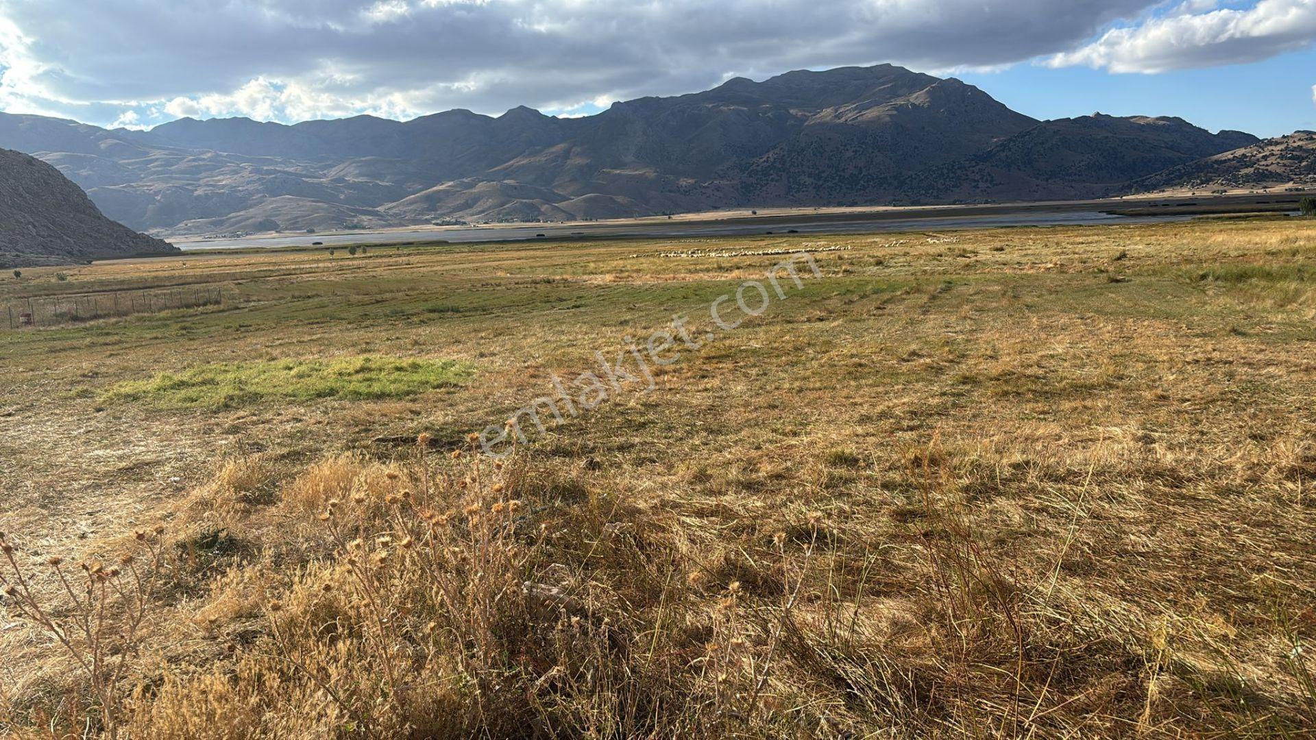 Goldhouse Dan Seydikemer Alacat Mahallesi Nde Satılık 1.413 M² Tarla — fotoğraf 2