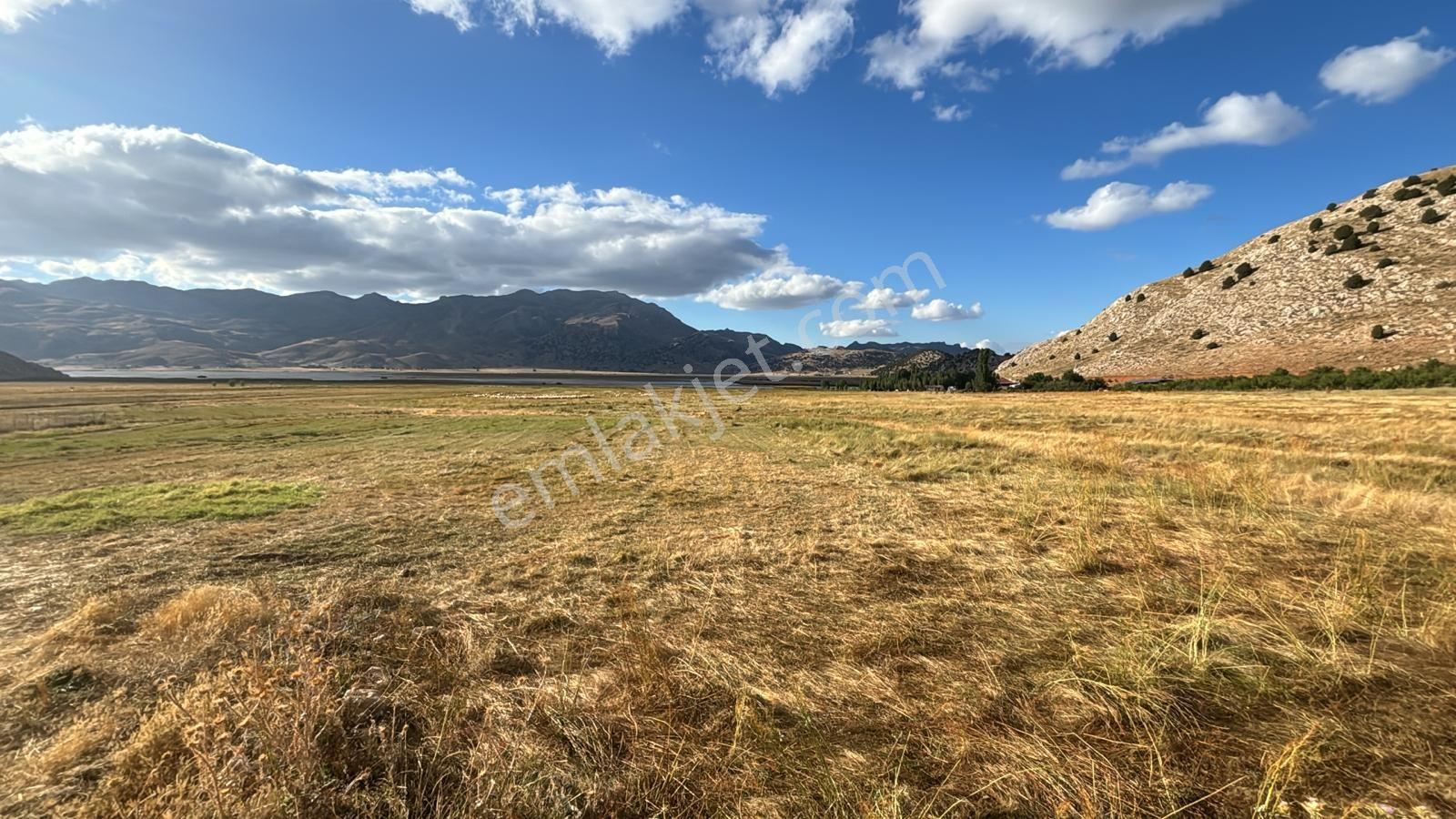 Goldhouse Dan Seydikemer Alacat Mahallesi Nde Satılık 1.413 M² Tarla — fotoğraf 3