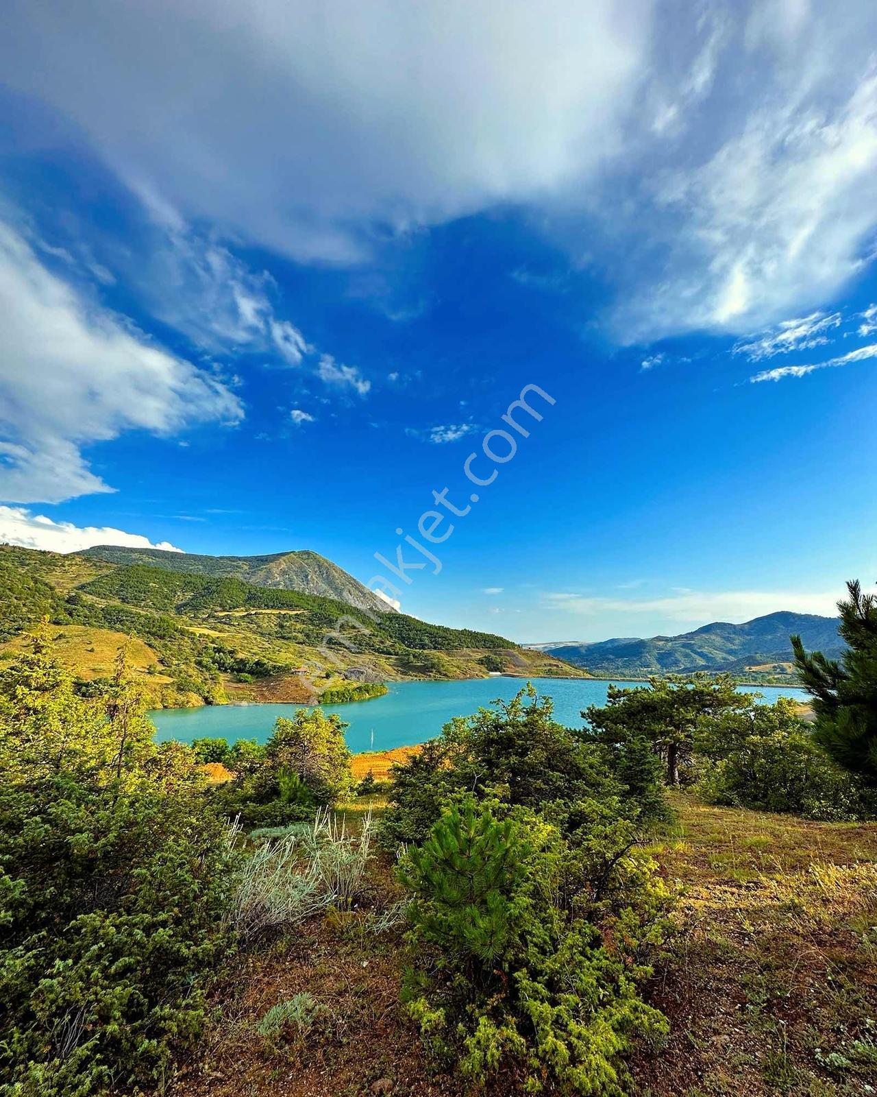 Satılık Göl Manzaralı Tarla — fotoğraf 2