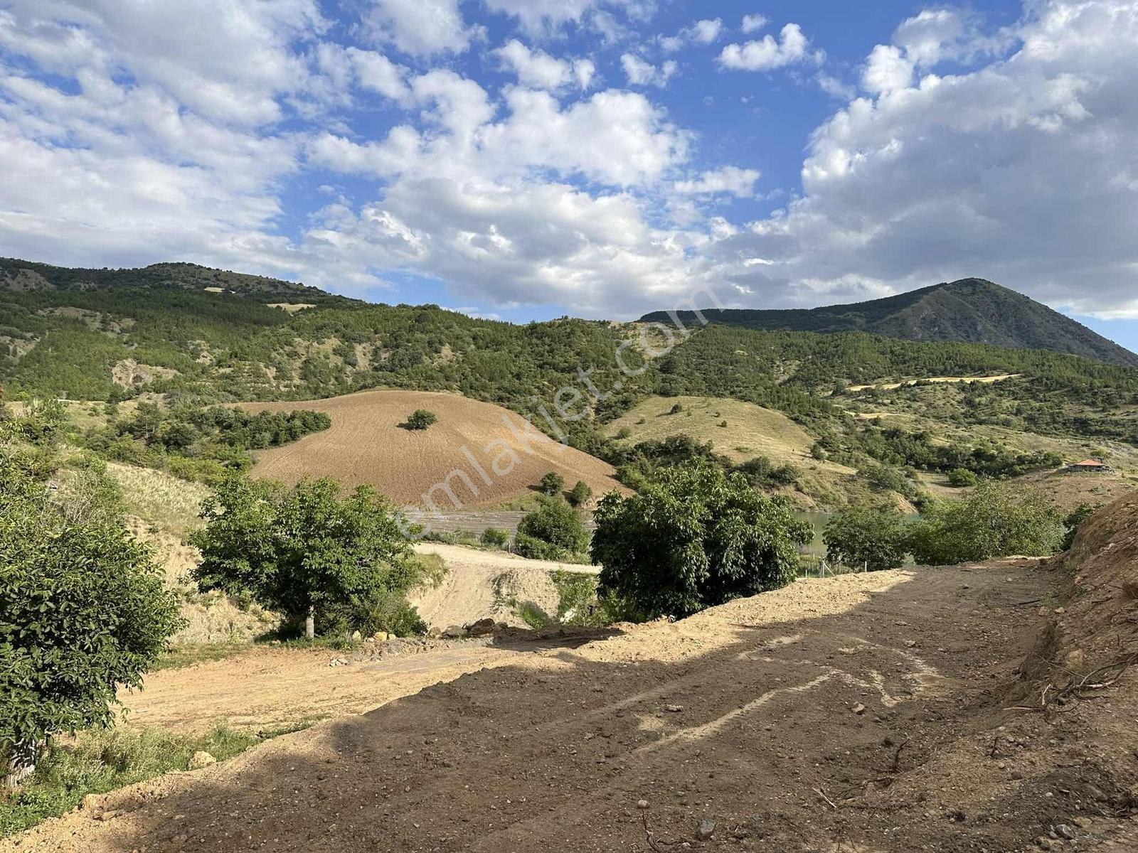 Satılık Göl Manzaralı Tarla — fotoğraf 18