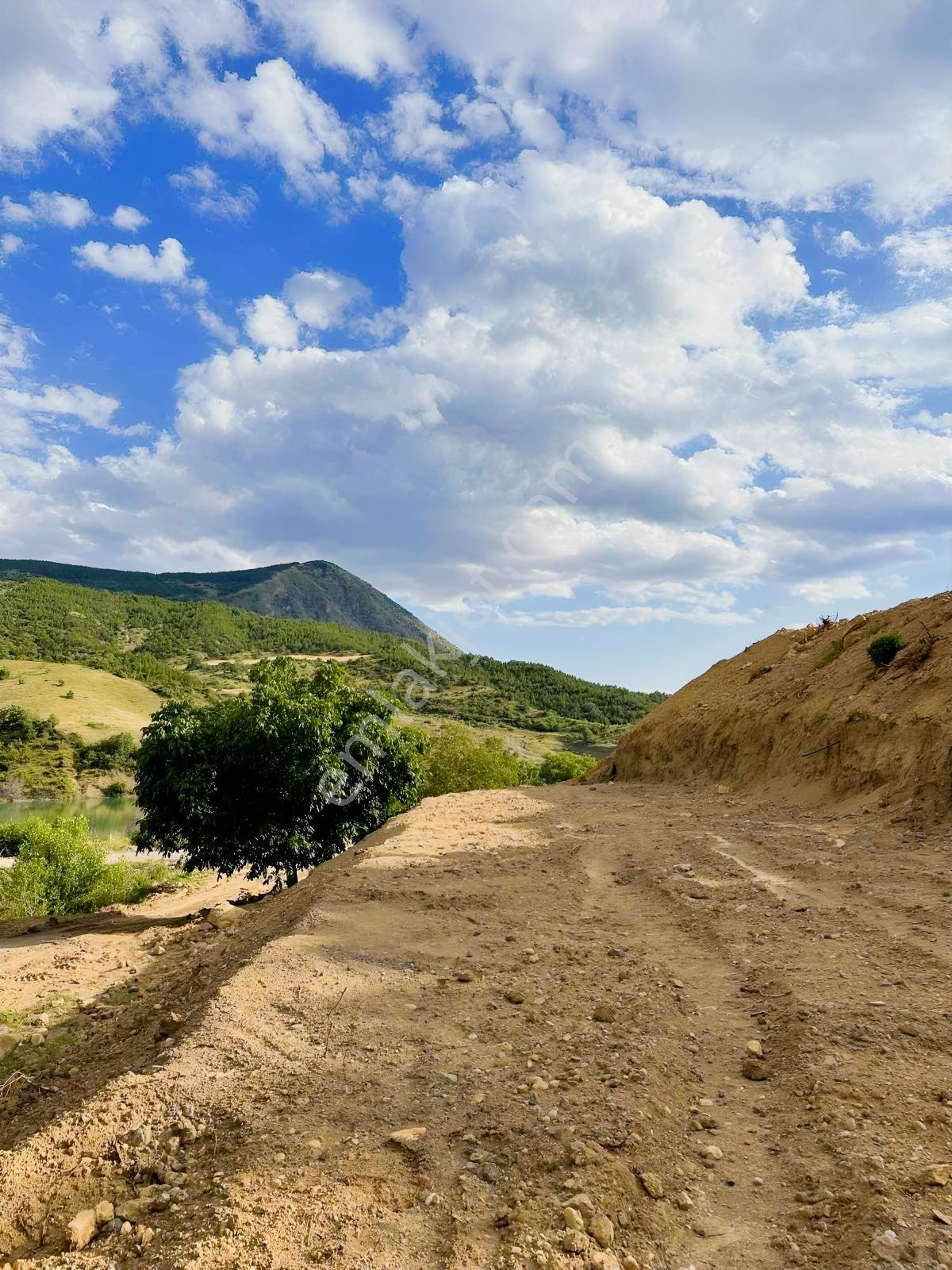 Satılık Göl Manzaralı Tarla — fotoğraf 21