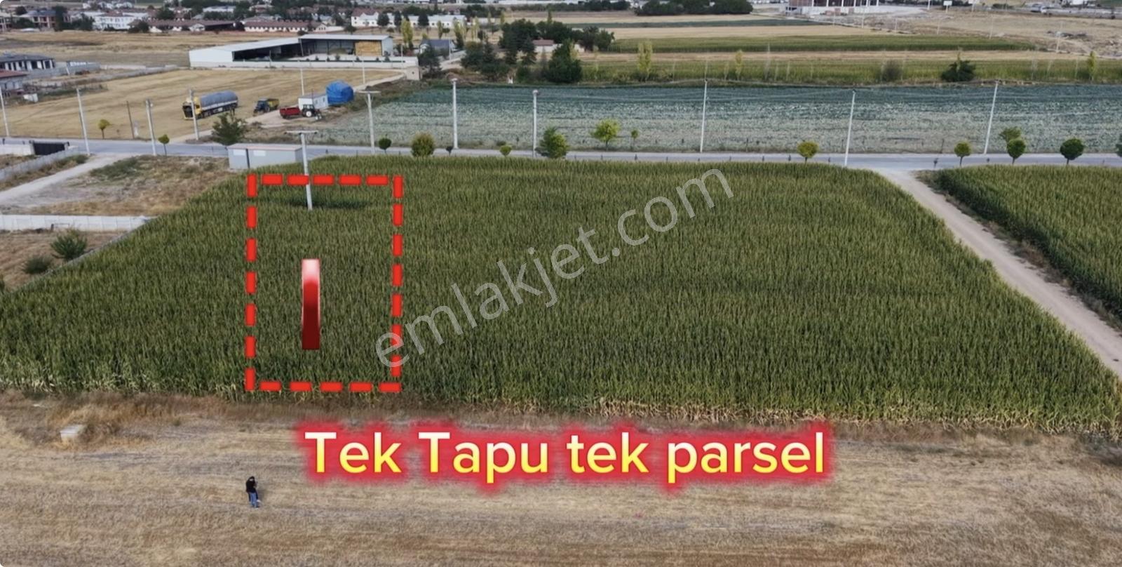 Afyon Susuz Kasabasında 568 M² İmarlı Arsa | 4 Kata Kadar Yapı
