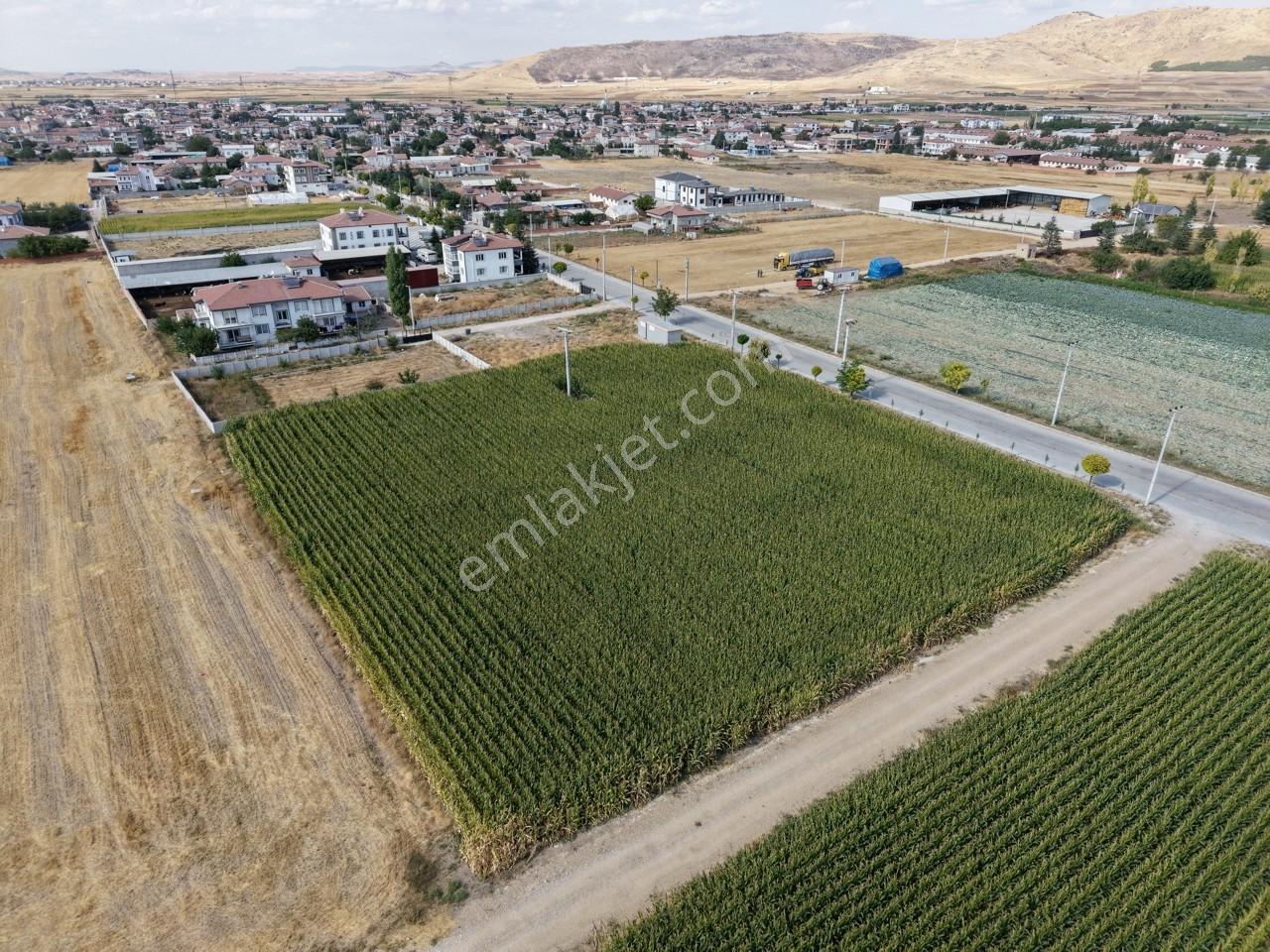 Afyon Susuz Kasabasında 568 M² İmarlı Arsa | 4 Kata Kadar Yapı — fotoğraf 4