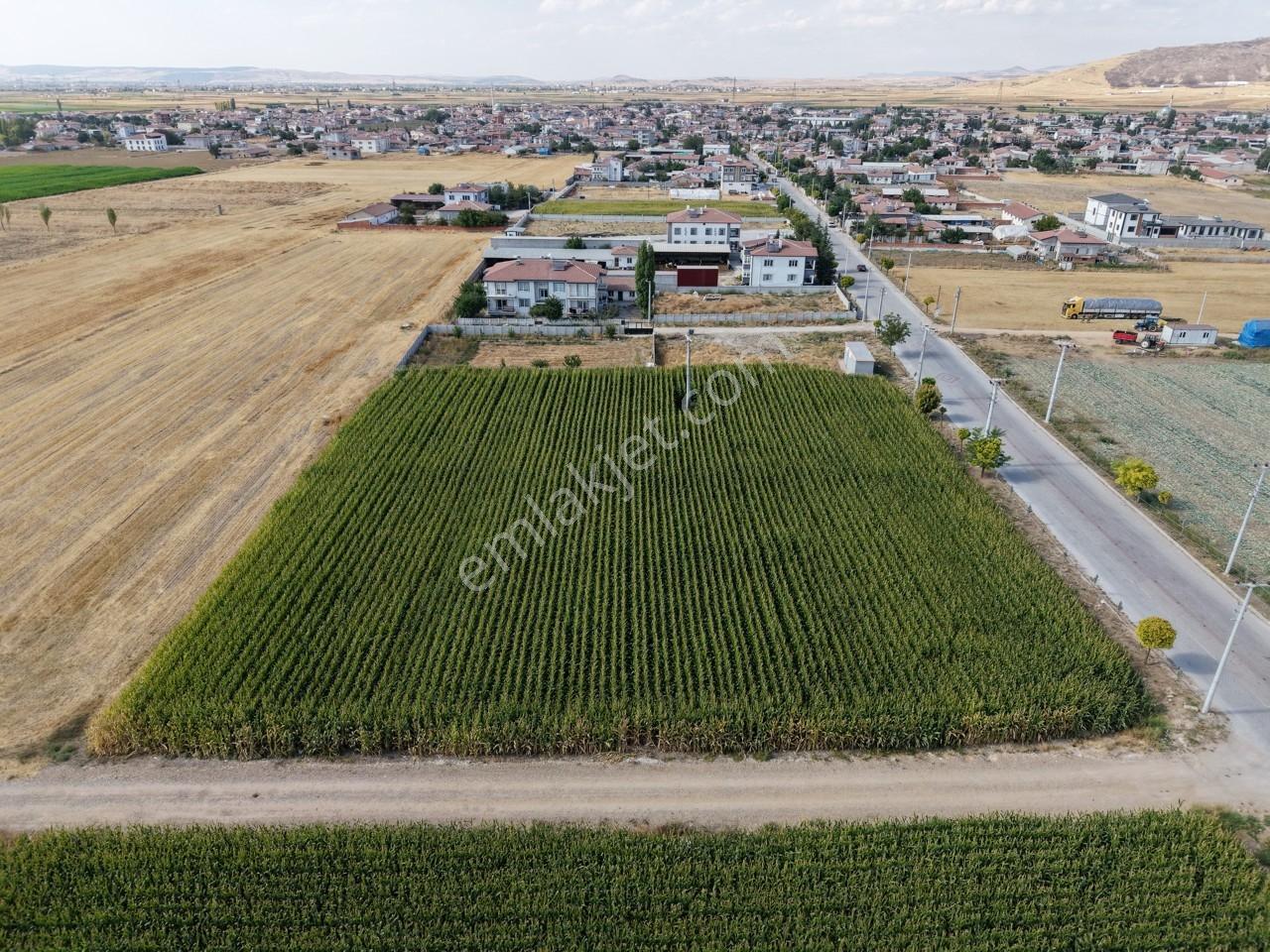 Afyon Susuz Kasabasında 568 M² İmarlı Arsa | 4 Kata Kadar Yapı — fotoğraf 6