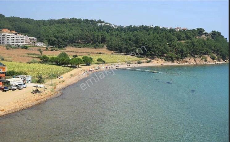Remax Land' Den Keşan Sazlırede Saros Körfezinde Müstekil Arsa — fotoğraf 9
