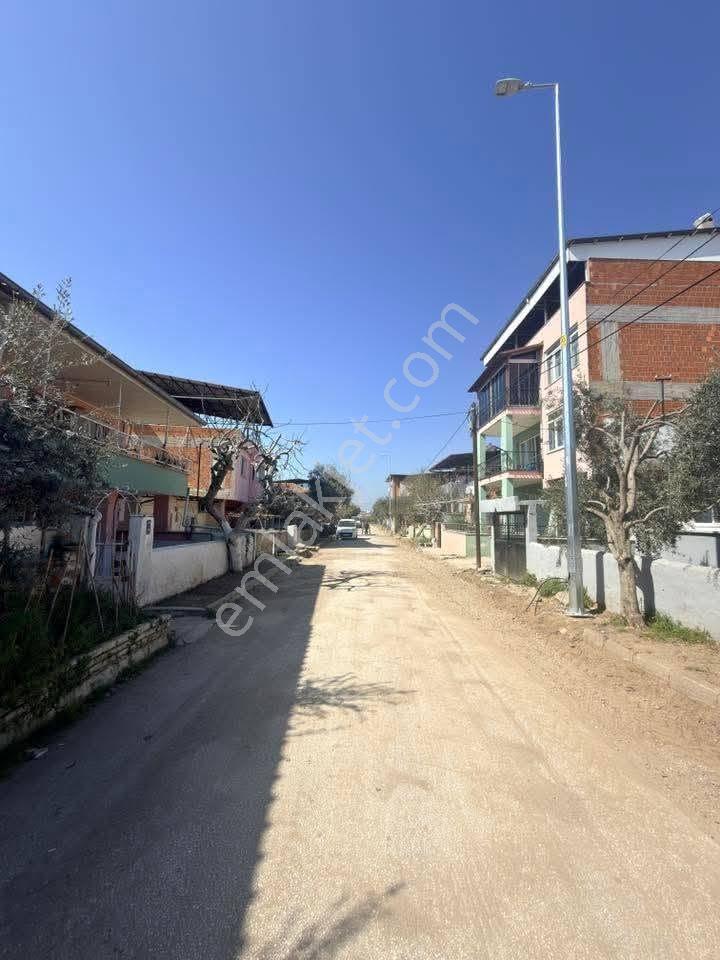 Aydın / Nazilli – Çapahasan Mahallesi — fotoğraf 7
