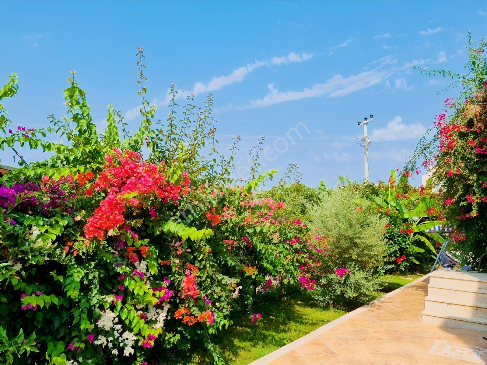 Bodrumda Avta Tatil Köyü İçinde 3+1 Müstakil Villa — fotoğraf 3