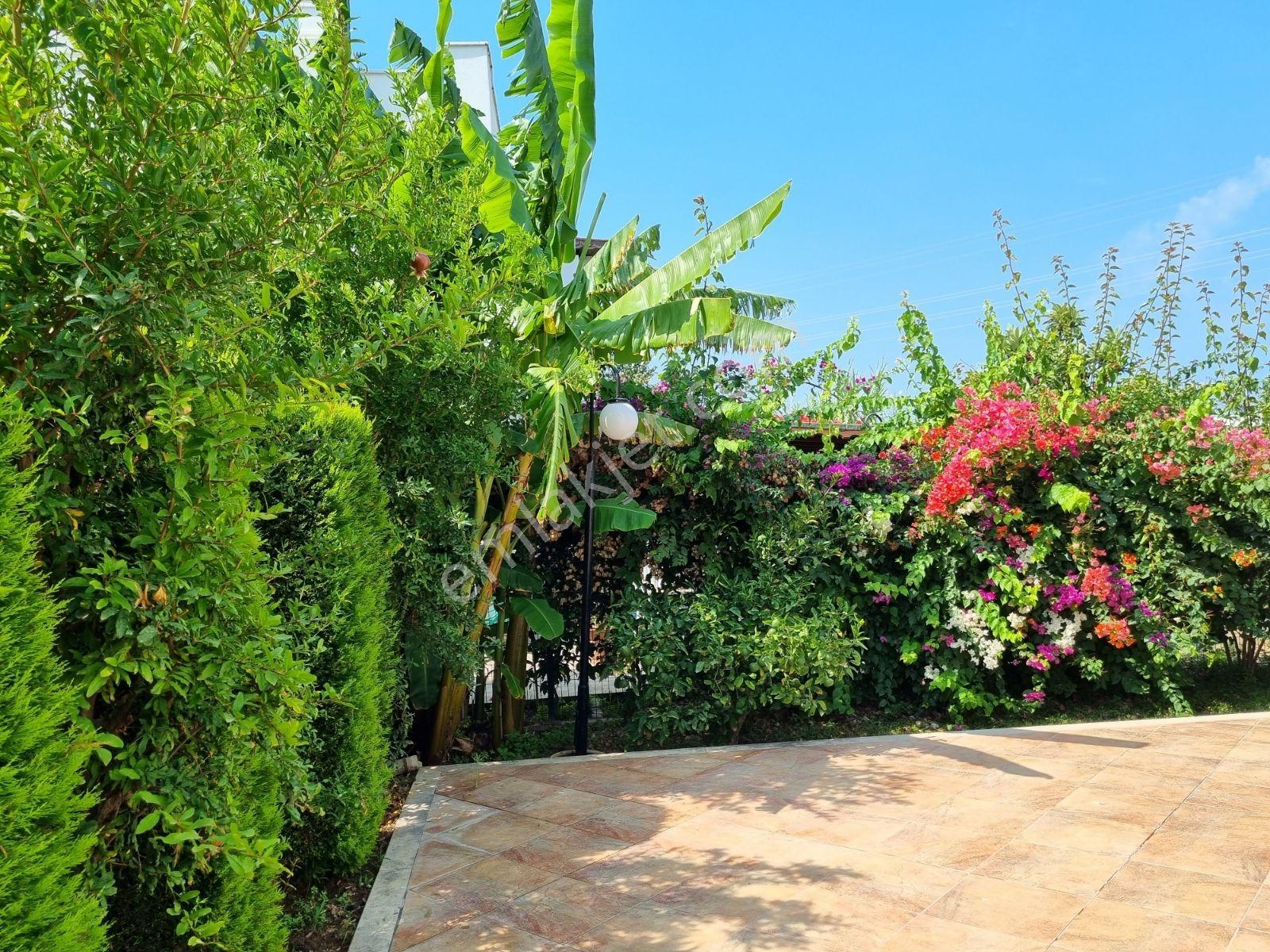Bodrumda Avta Tatil Köyü İçinde 3+1 Müstakil Villa — fotoğraf 4