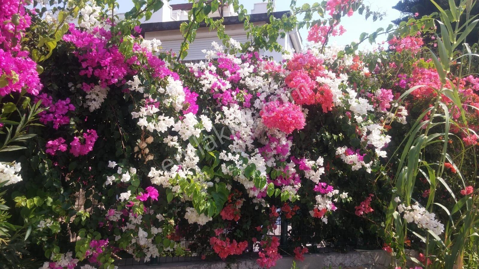 Bodrumda Avta Tatil Köyü İçinde 3+1 Müstakil Villa — fotoğraf 11