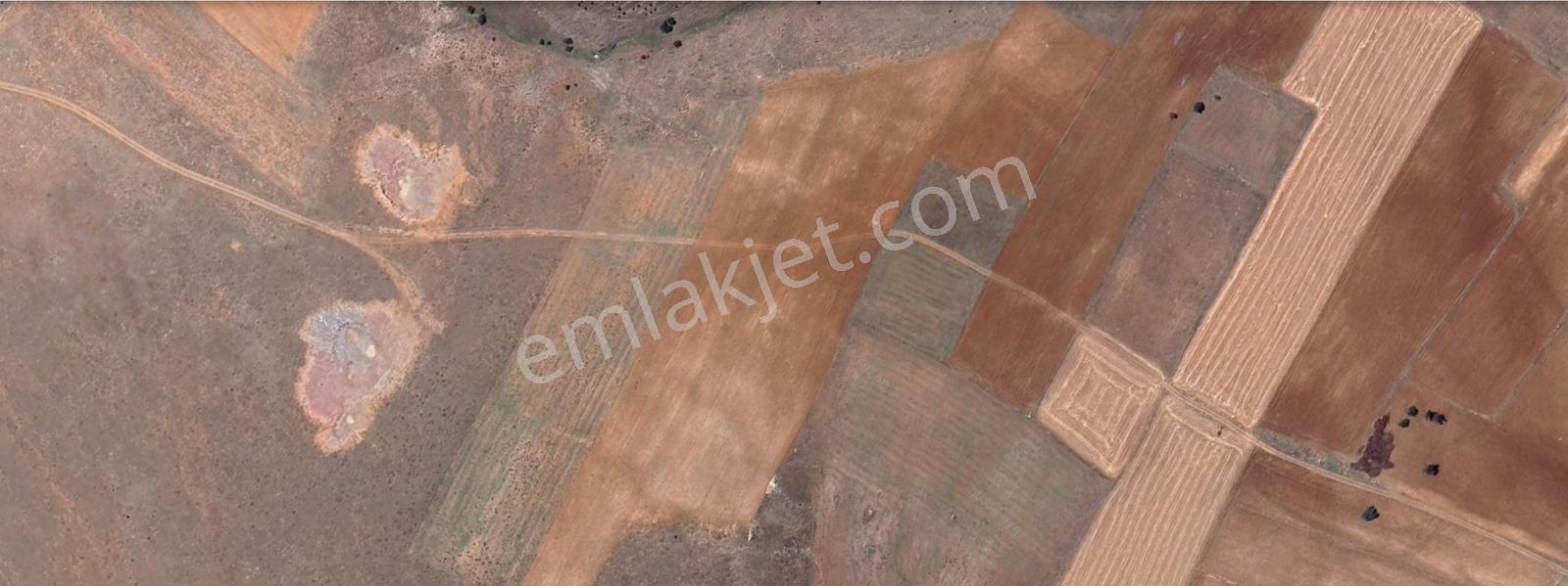 Gazlıgöl Belcede 2.500 M² Doğayla İç İçe Satılık Tarla — fotoğraf 7
