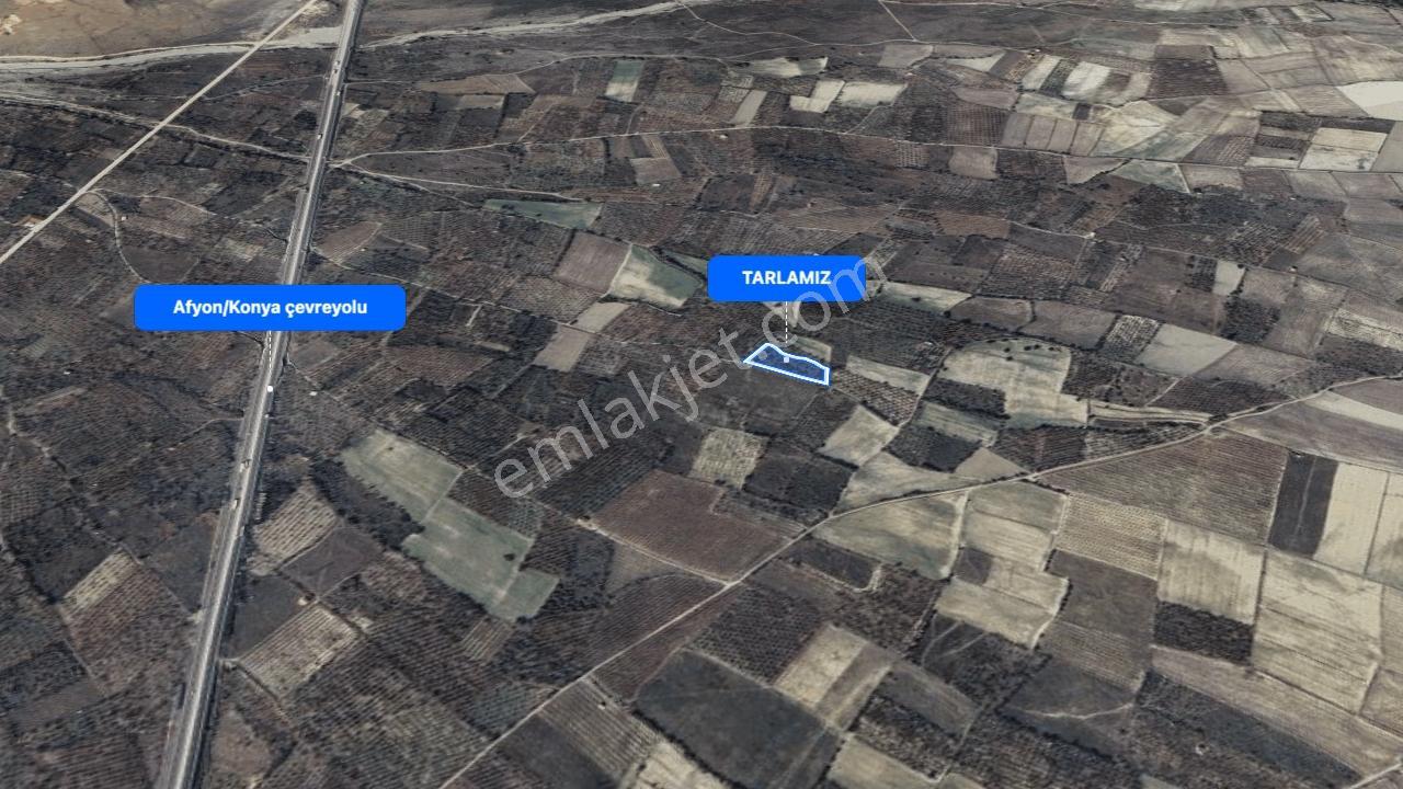 Sultandağında Satılık Kiraz/vişne Bahçesi (çevreyoluna 750m) — fotoğraf 2