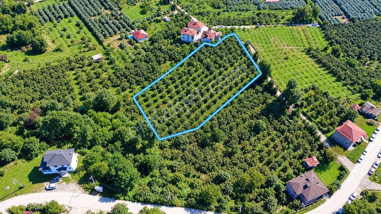 Vestha'Dan Efirli'De Harika Konum'Da Satılık Arsa 6.426M2 !!!