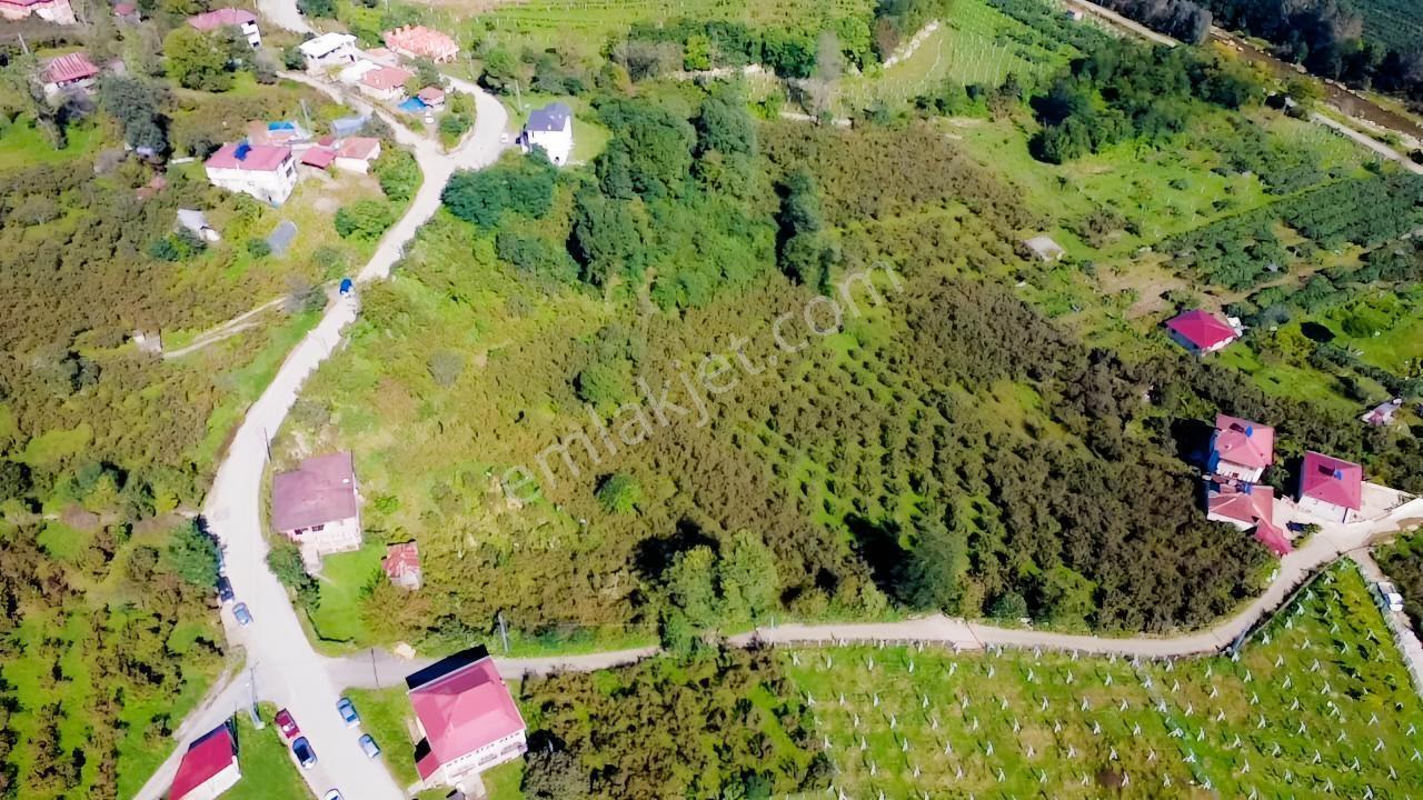Vestha'dan Efirli'de Harika Konum'da Satılık Arsa 6.426m2 !!! — fotoğraf 2