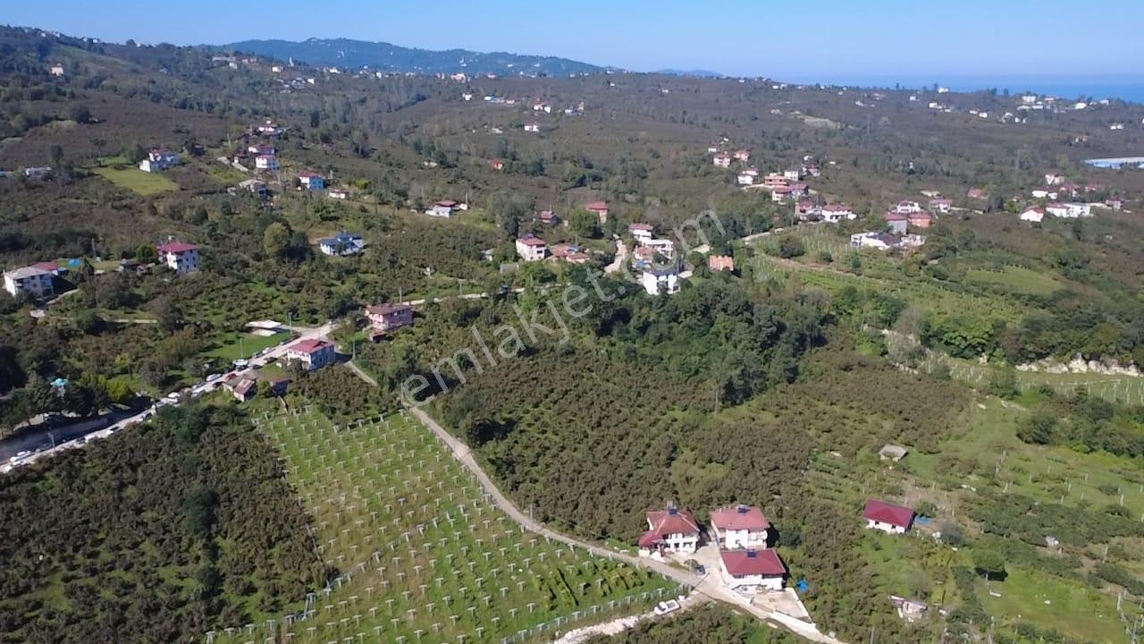 Vestha'dan Efirli'de Harika Konum'da Satılık Arsa 6.426m2 !!! — fotoğraf 3