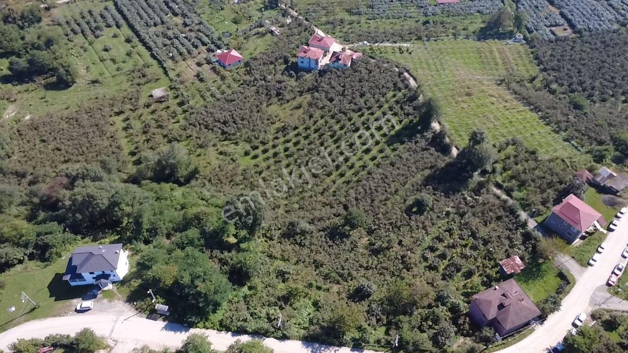 Vestha'dan Efirli'de Harika Konum'da Satılık Arsa 6.426m2 !!! — fotoğraf 4