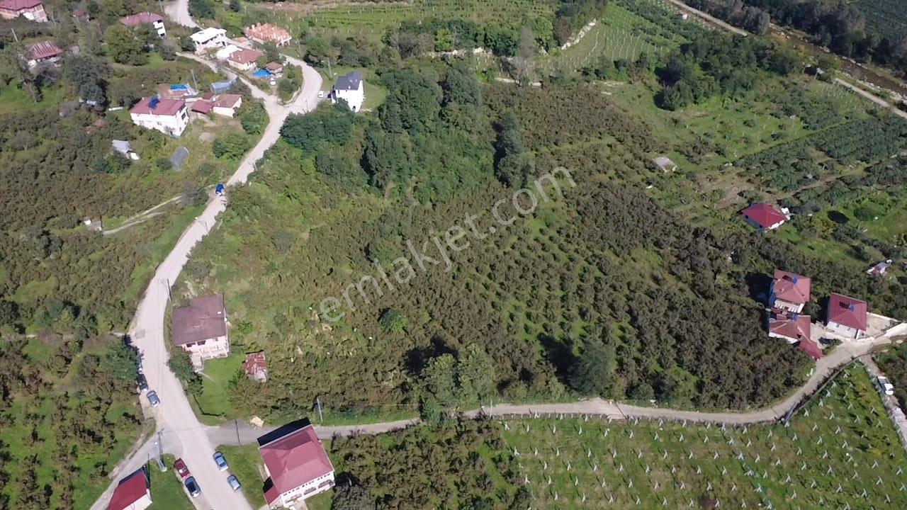 Vestha'dan Efirli'de Harika Konum'da Satılık Arsa 6.426m2 !!! — fotoğraf 5