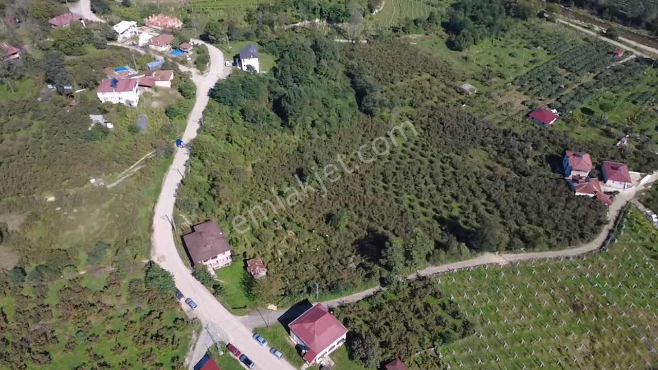 Vestha'dan Efirli'de Harika Konum'da Satılık Arsa 6.426m2 !!! — fotoğraf 6
