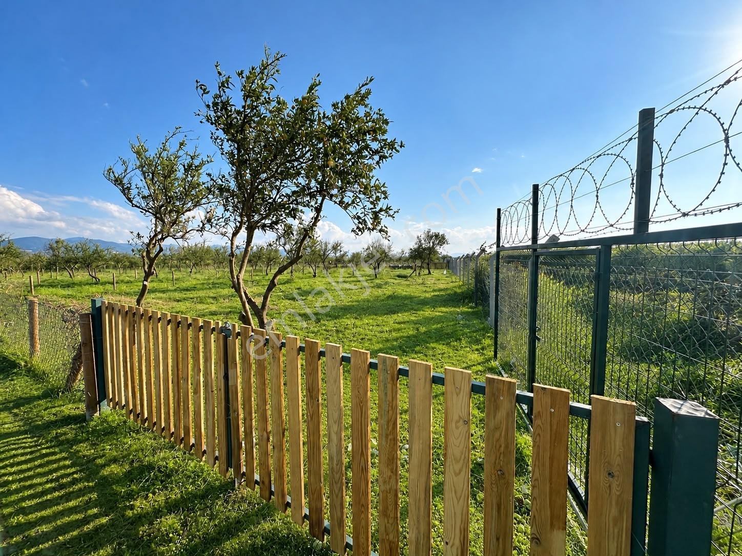 Edremit Havalimanına Yakın Ulaşımı Kolay 300M2 Hobi Bahçesi