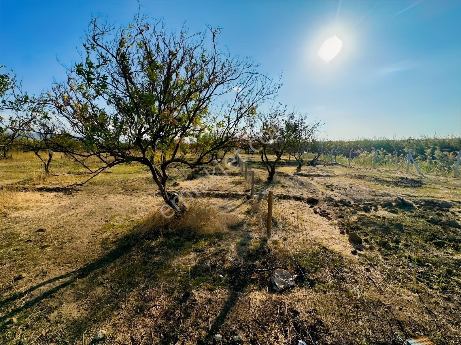 Edremit Havalimanına Yakın Ulaşımı Kolay 300m2 Hobi Bahçesi — fotoğraf 9