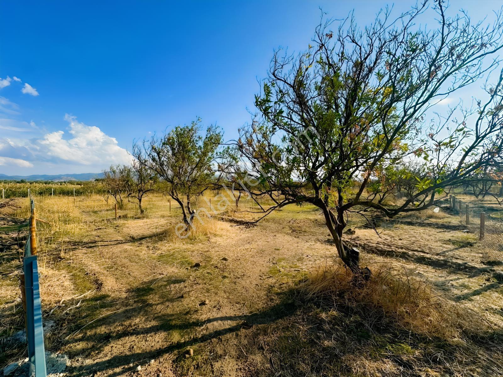 Edremit Havalimanına Yakın Ulaşımı Kolay 300m2 Hobi Bahçesi — fotoğraf 14