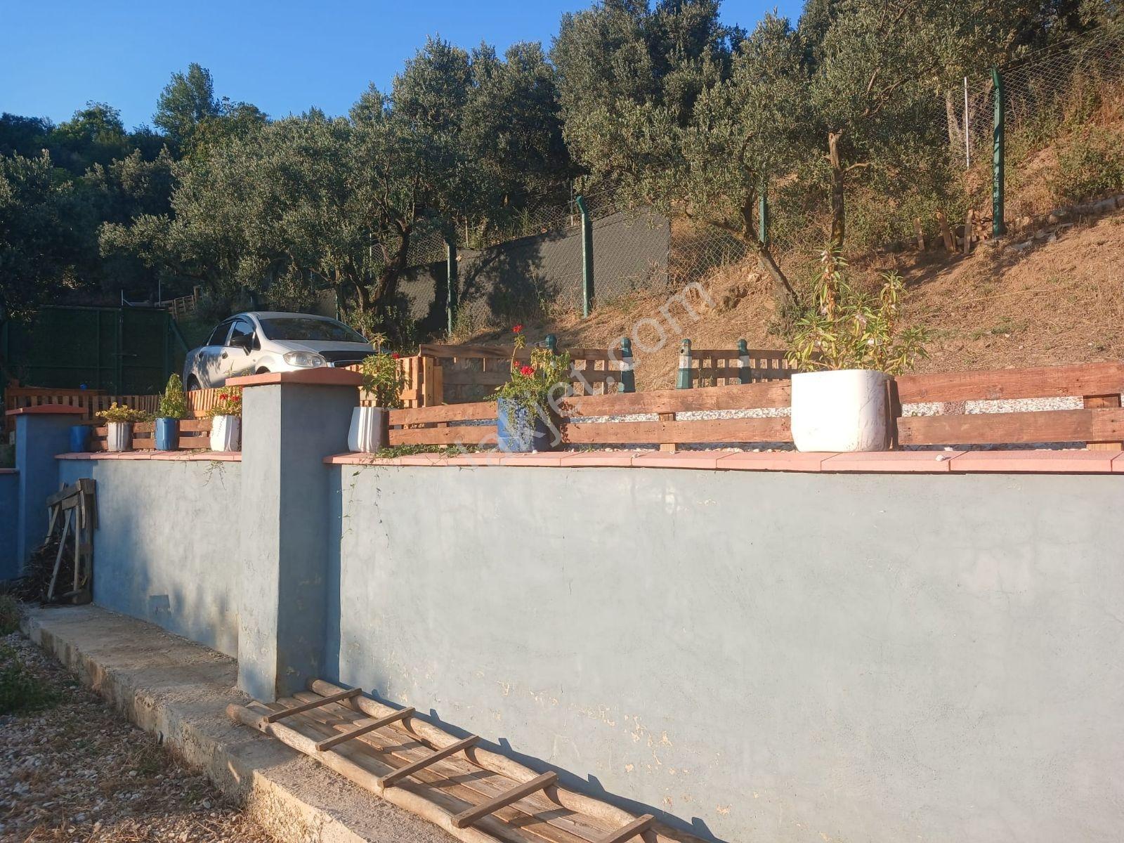 Yeniköy'de Full Manzaralı Hobi Bahçesi 1+1 Ev Ve Güneş Enerjisi — fotoğraf 5