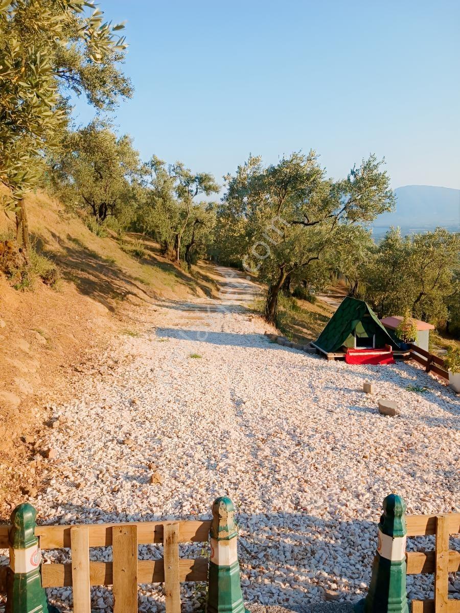 Yeniköy'de Full Manzaralı Hobi Bahçesi 1+1 Ev Ve Güneş Enerjisi — fotoğraf 7