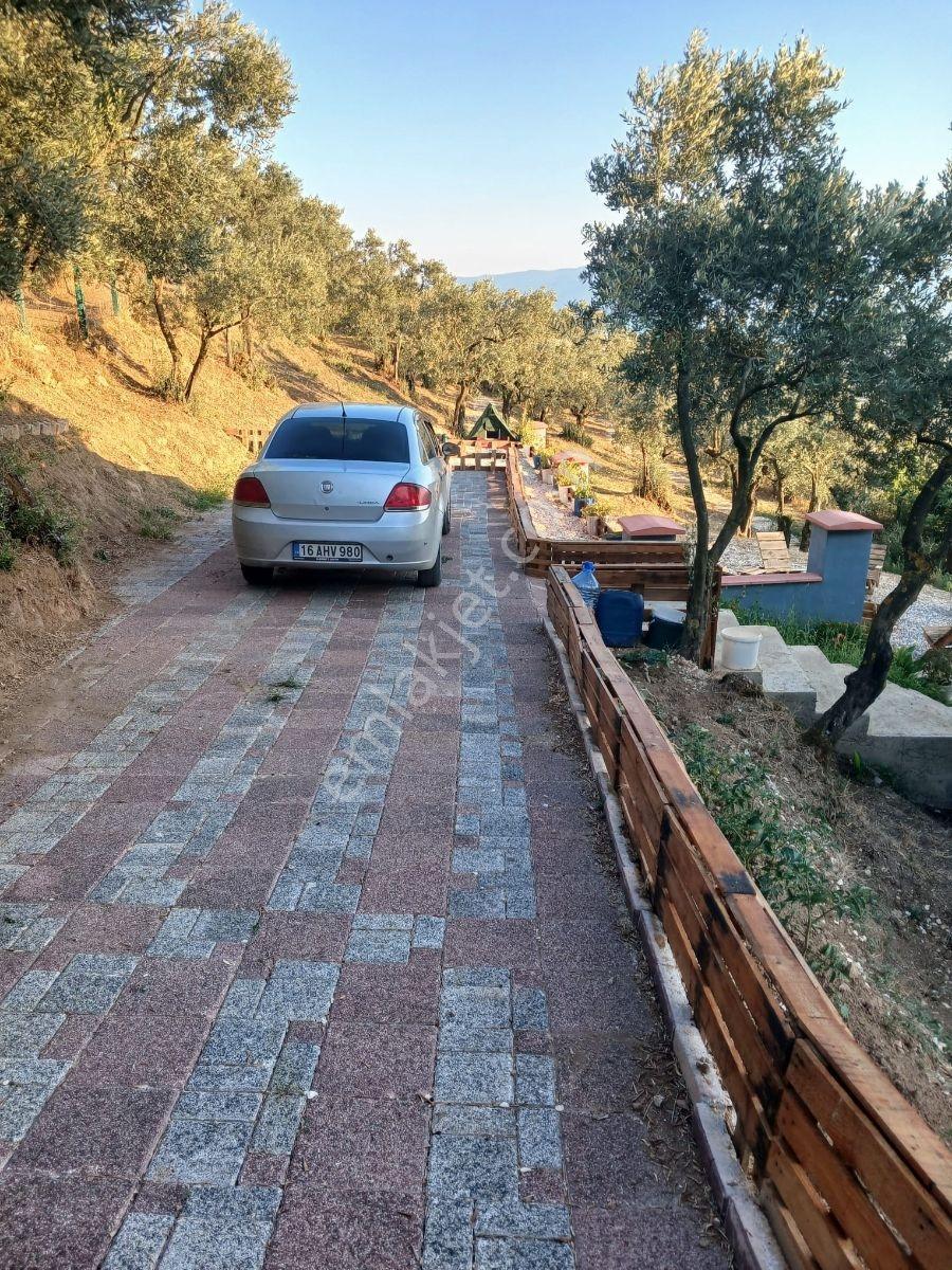 Yeniköy'de Full Manzaralı Hobi Bahçesi 1+1 Ev Ve Güneş Enerjisi — fotoğraf 9
