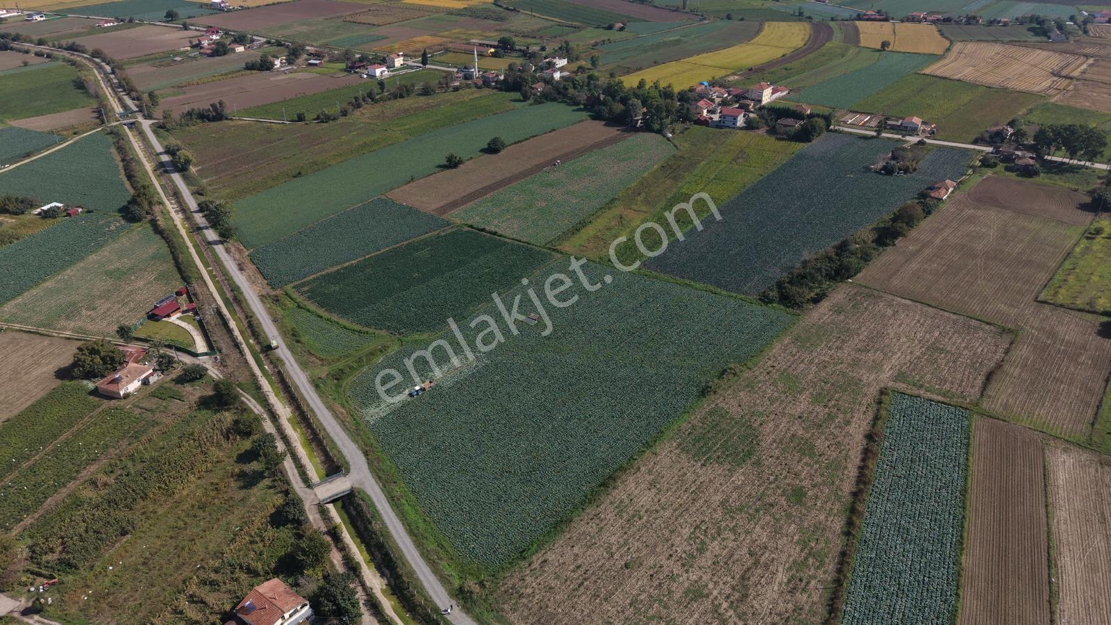 Bafra Vip Gayrimenkul'den Ağıllar Mah. Satılık 7666m2 Tarla — fotoğraf 11