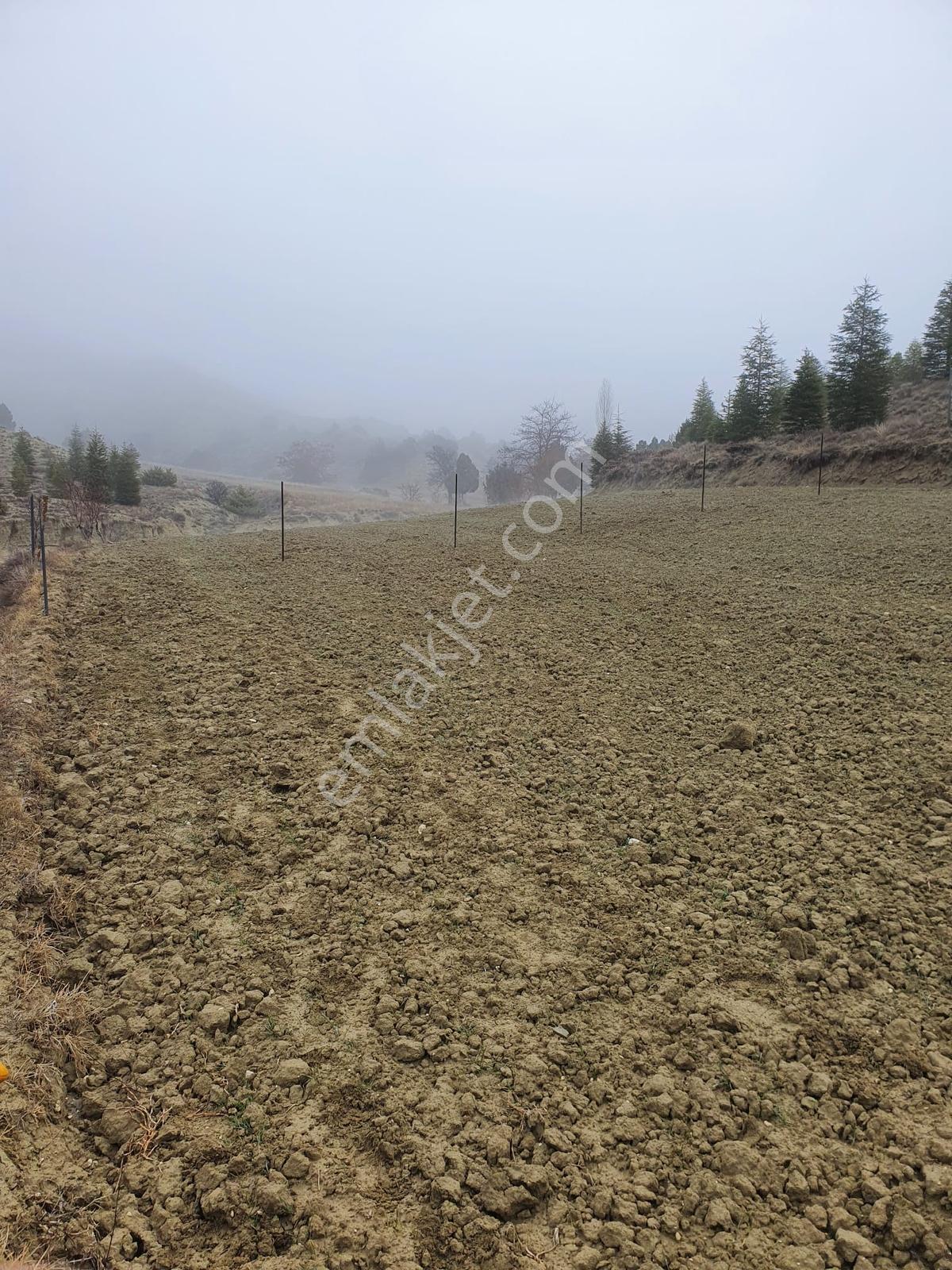 Usta Gayrimenkul'den Acil Satılık Burdur Kemer'de 36.773 M2 — fotoğraf 2