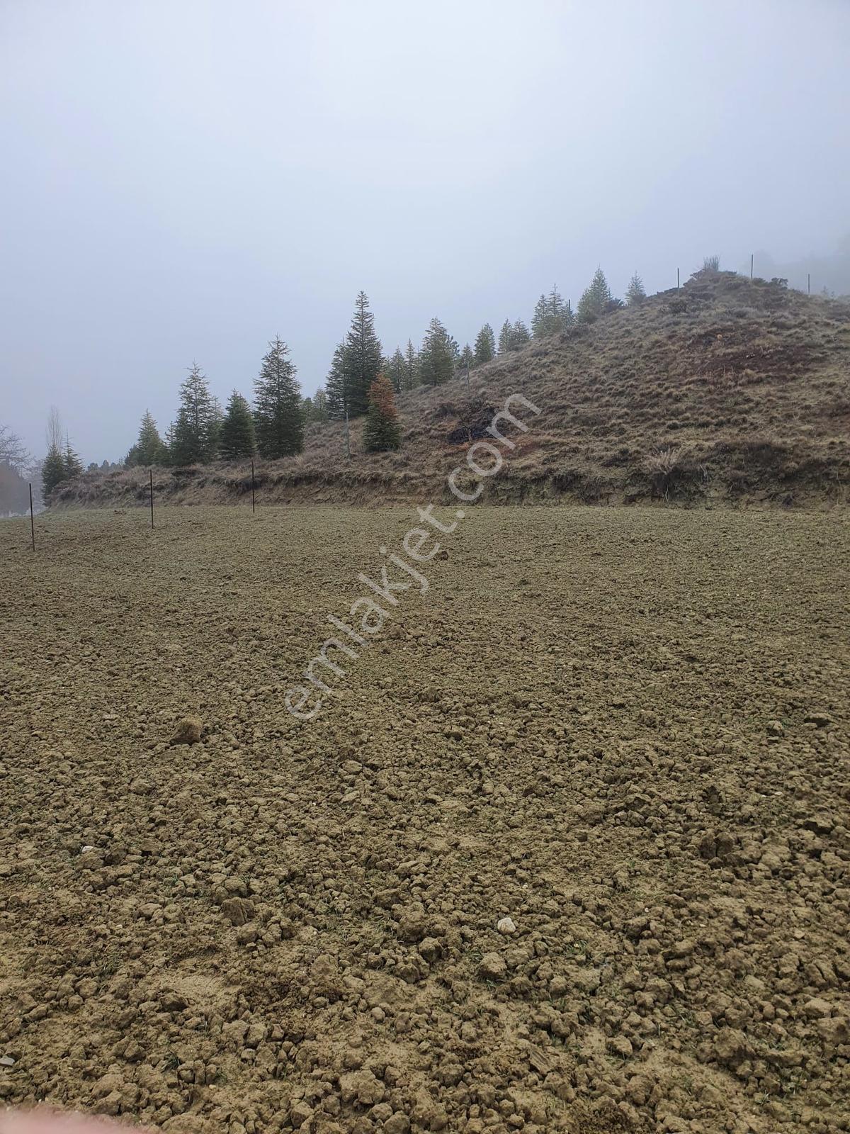 Usta Gayrimenkul'den Acil Satılık Burdur Kemer'de 36.773 M2 — fotoğraf 3