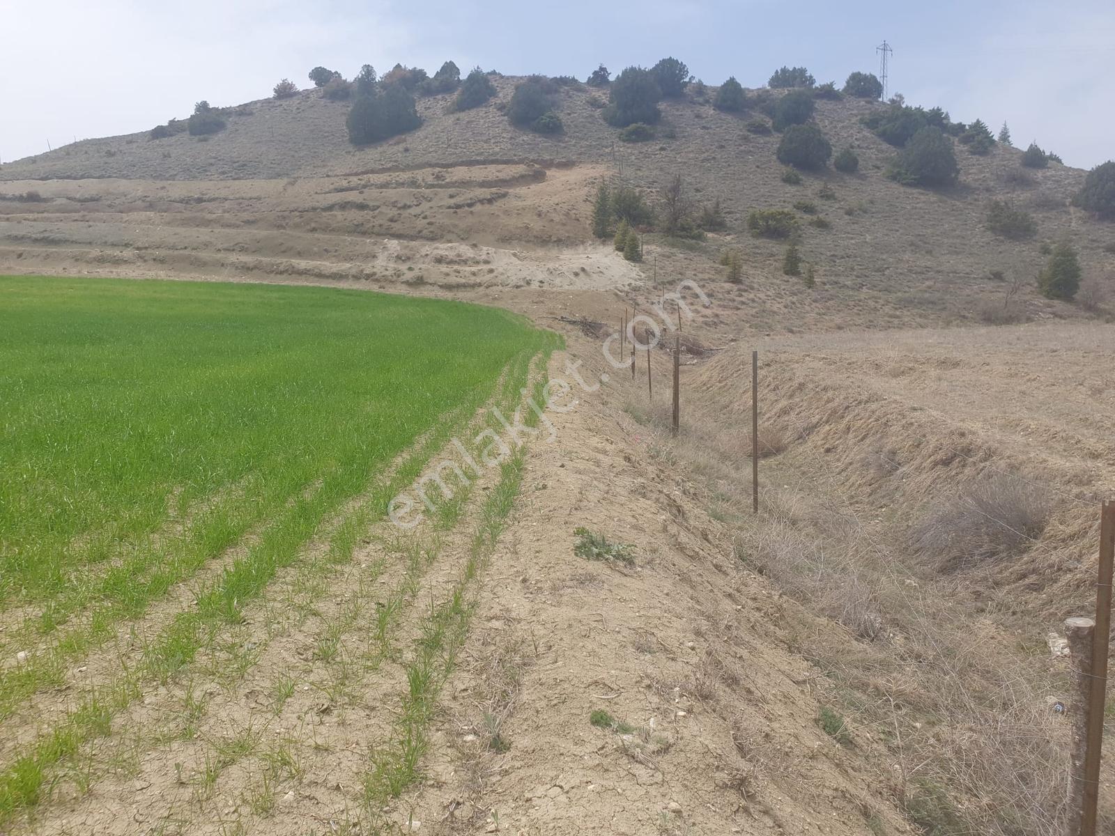 Usta Gayrimenkul'den Acil Satılık Burdur Kemer'de 36.773 M2 — fotoğraf 4