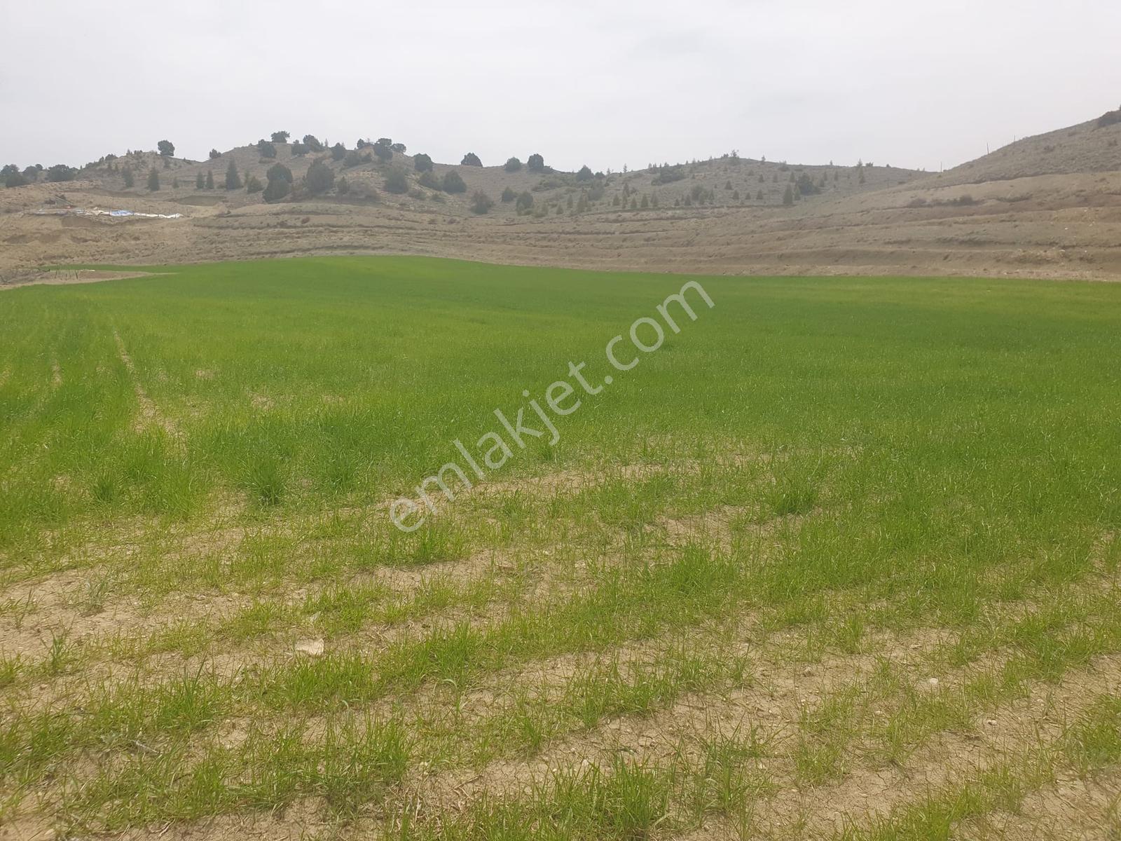 Usta Gayrimenkul'den Acil Satılık Burdur Kemer'de 36.773 M2 — fotoğraf 5