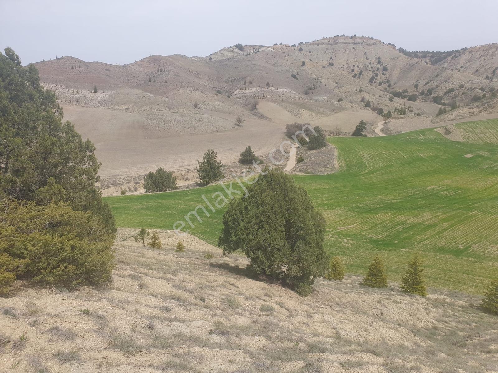 Usta Gayrimenkul'den Acil Satılık Burdur Kemer'de 36.773 M2 — fotoğraf 7