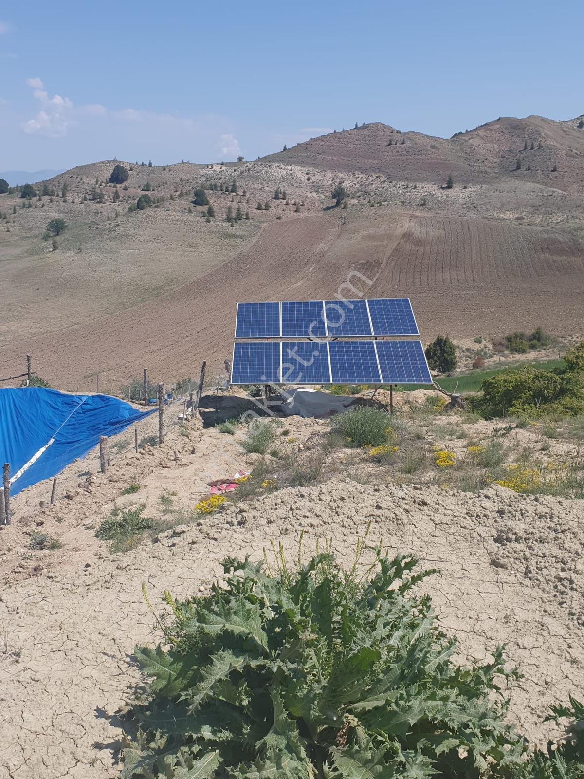 Usta Gayrimenkul'den Acil Satılık Burdur Kemer'de 36.773 M2 — fotoğraf 9