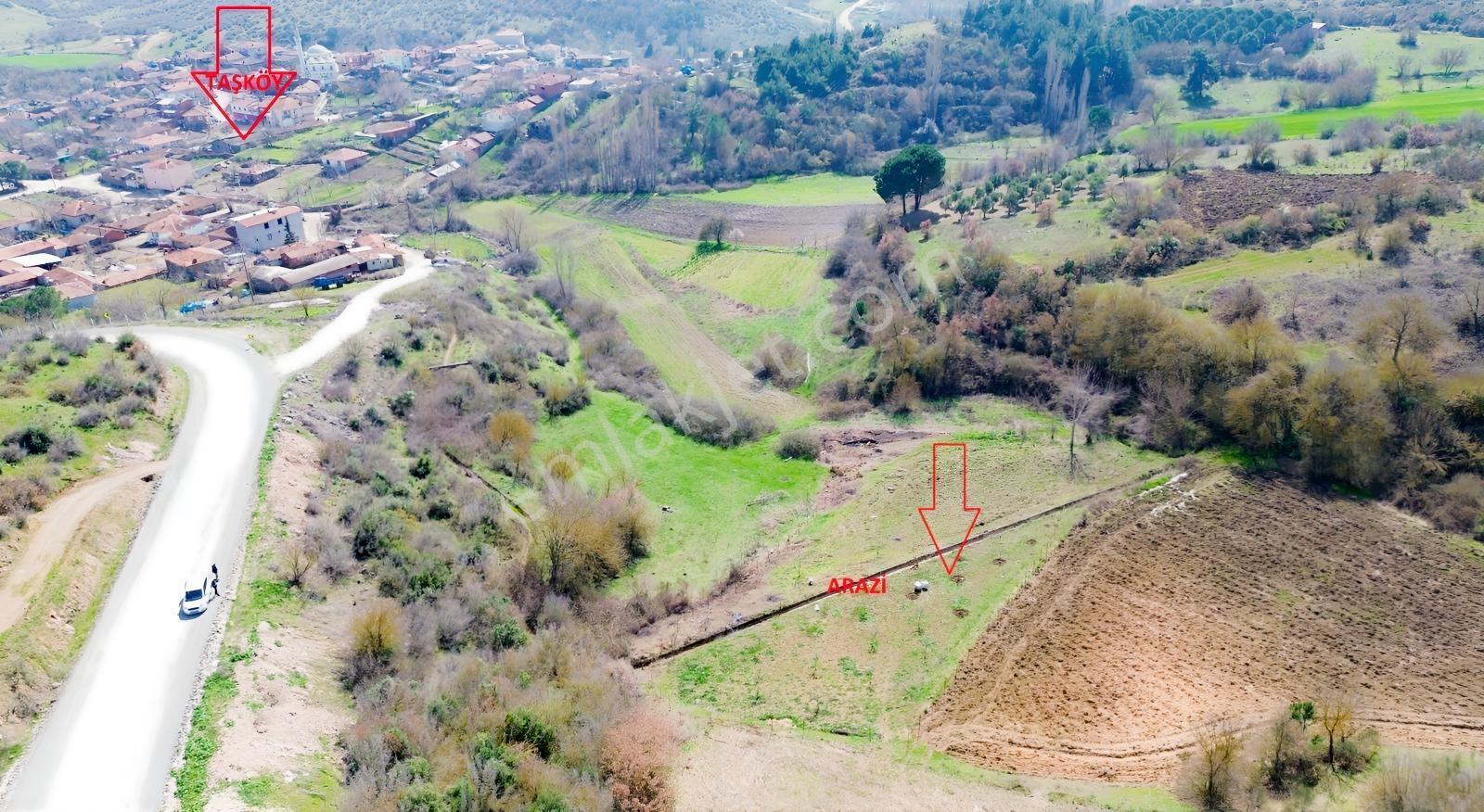 Hega İnvest'den Taşköy Mahallesi İmar Sınırında Satılık Arazi — fotoğraf 3