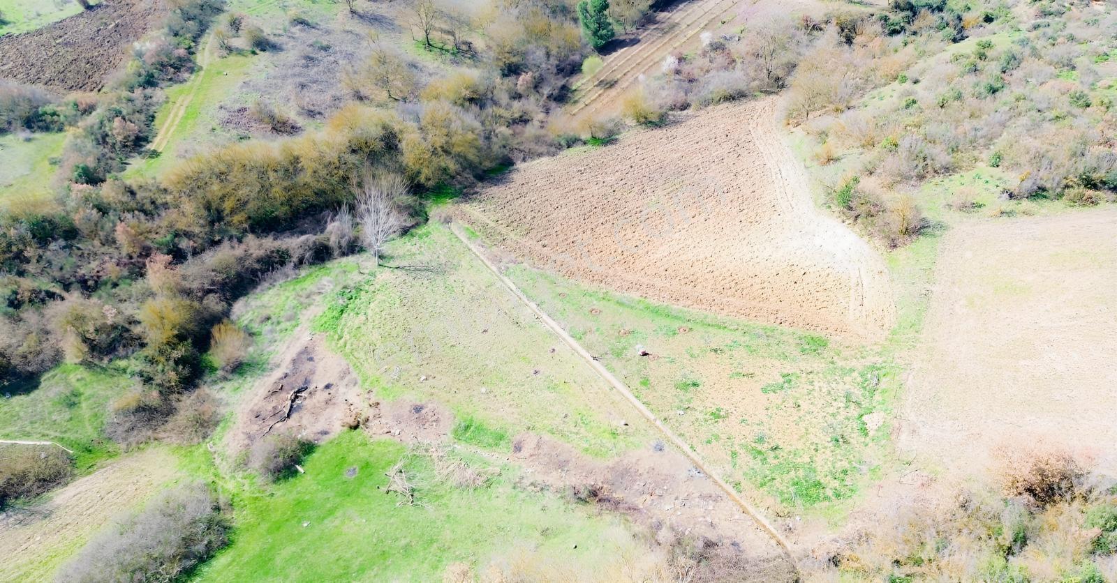 Hega İnvest'den Taşköy Mahallesi İmar Sınırında Satılık Arazi — fotoğraf 32